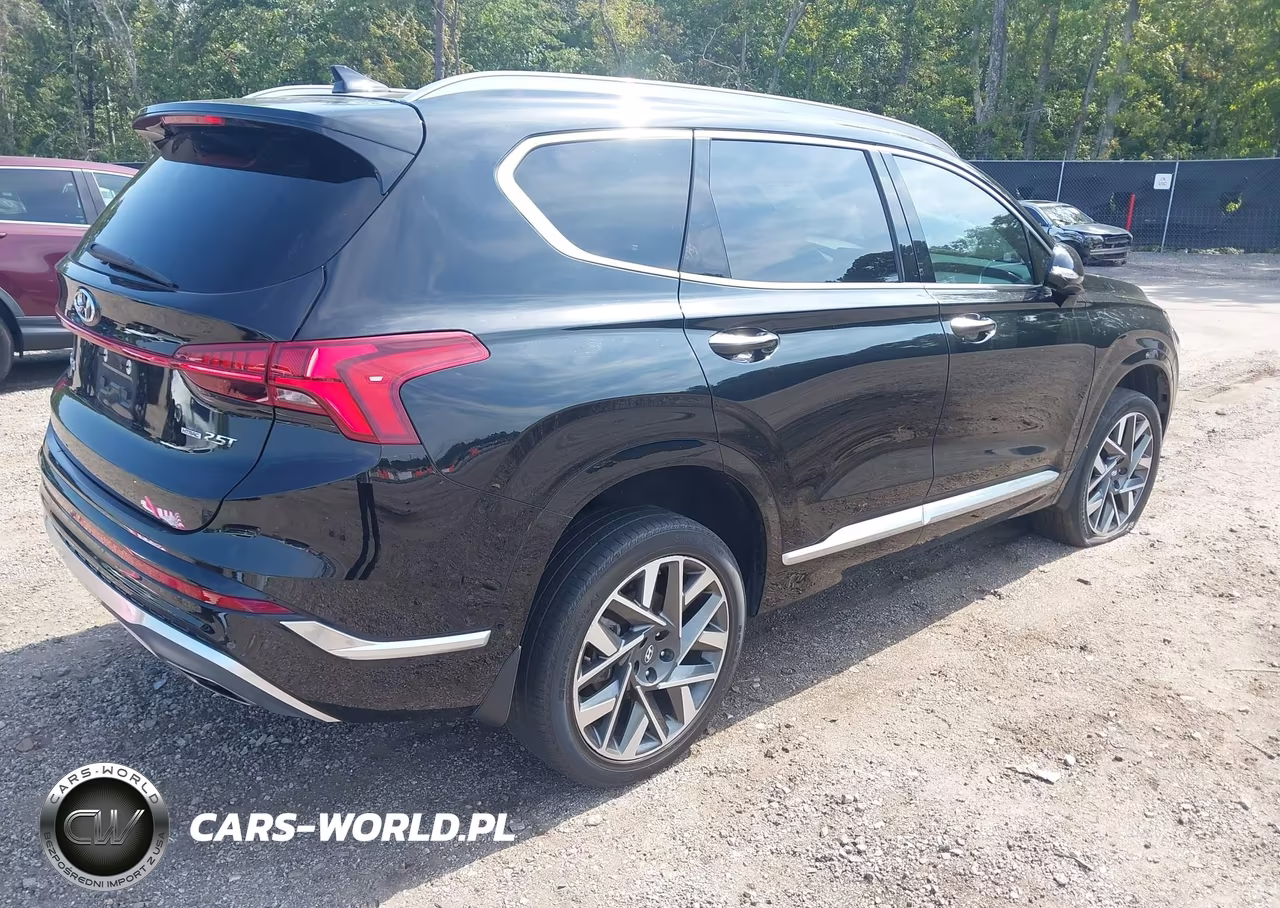 2023 Hyundai Santa Fe Calligraphy VIN:5NMS5DAL5PH599482 - 4