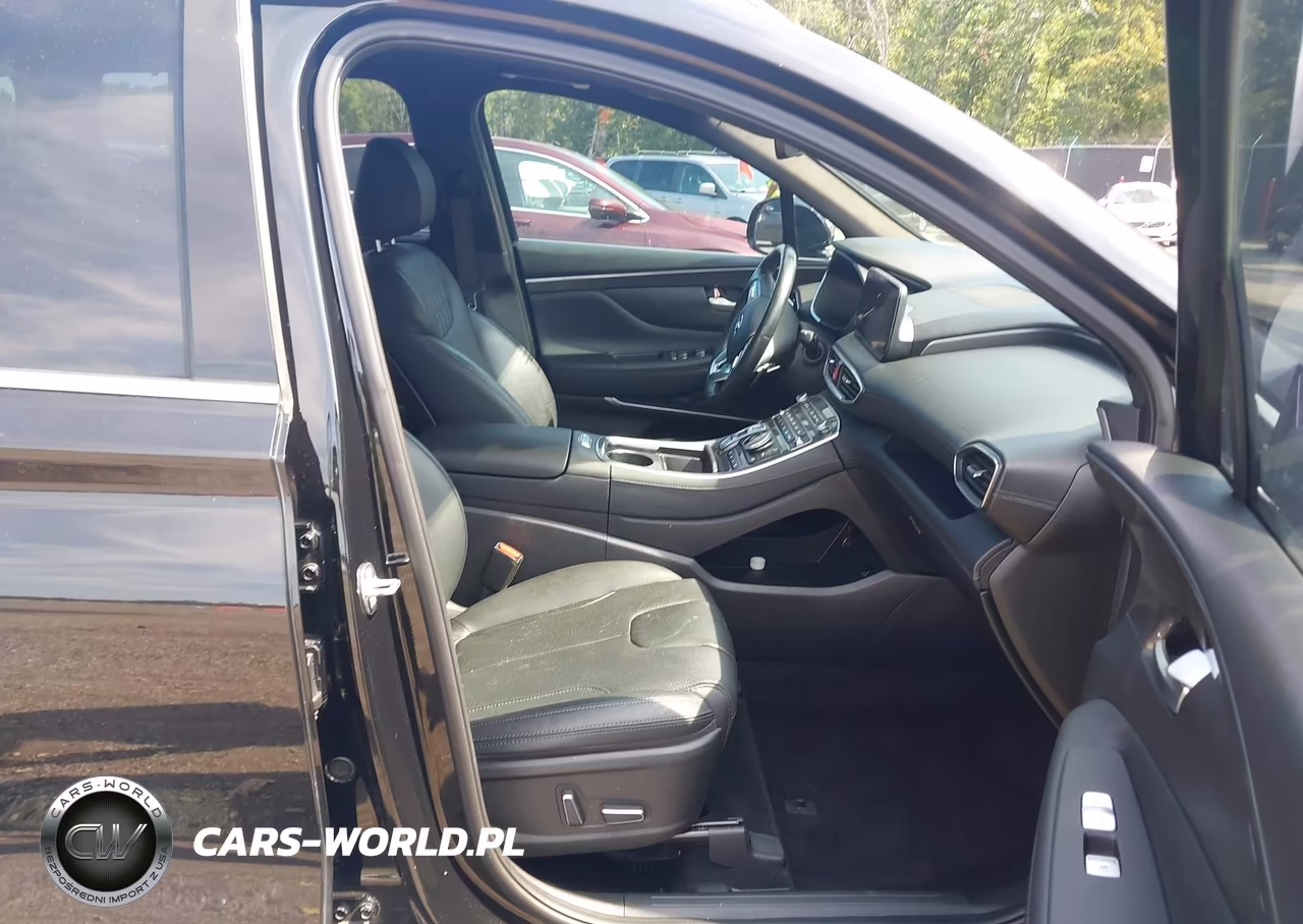 2023 Hyundai Santa Fe Calligraphy VIN:5NMS5DAL5PH599482 - 5
