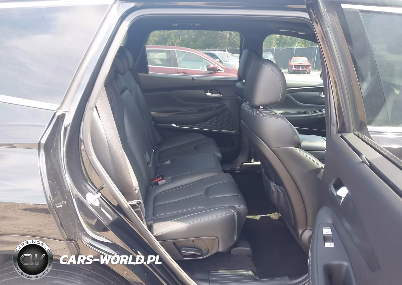 2023 Hyundai Santa Fe Calligraphy VIN:5NMS5DAL5PH599482 - 8