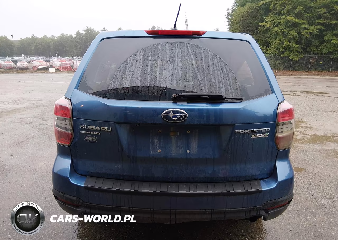 2015 Subaru Forester 2.5I VIN:JF2SJAAC2FG494660 - 16