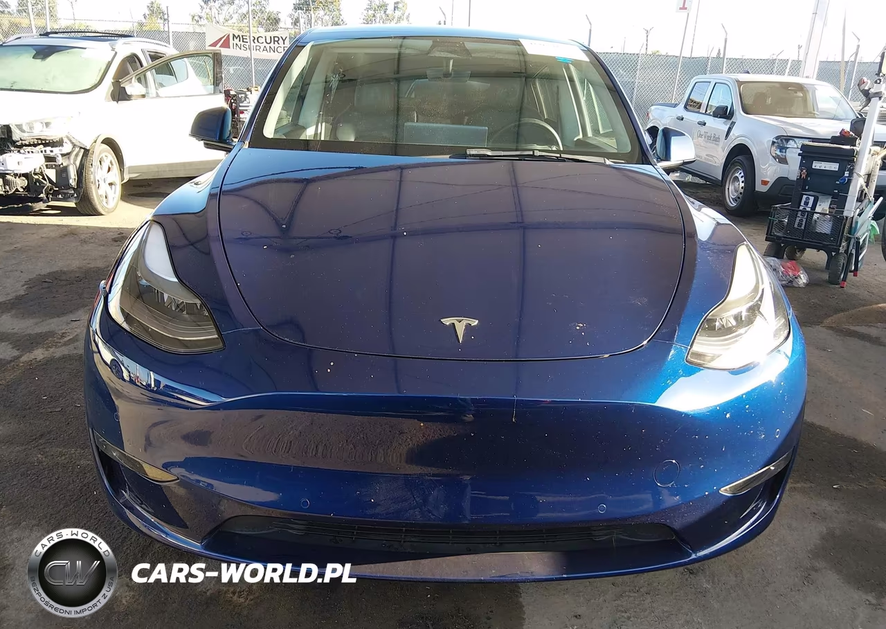 2021 Tesla Model Y Performance Dual Motor All-Wheel Drive VIN:5YJYGDEF4MF197491 - 12