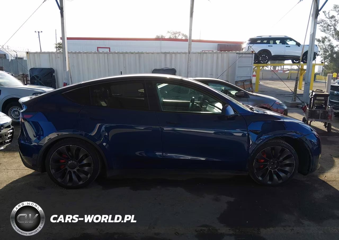 2021 Tesla Model Y Performance Dual Motor All-Wheel Drive VIN:5YJYGDEF4MF197491 - 13