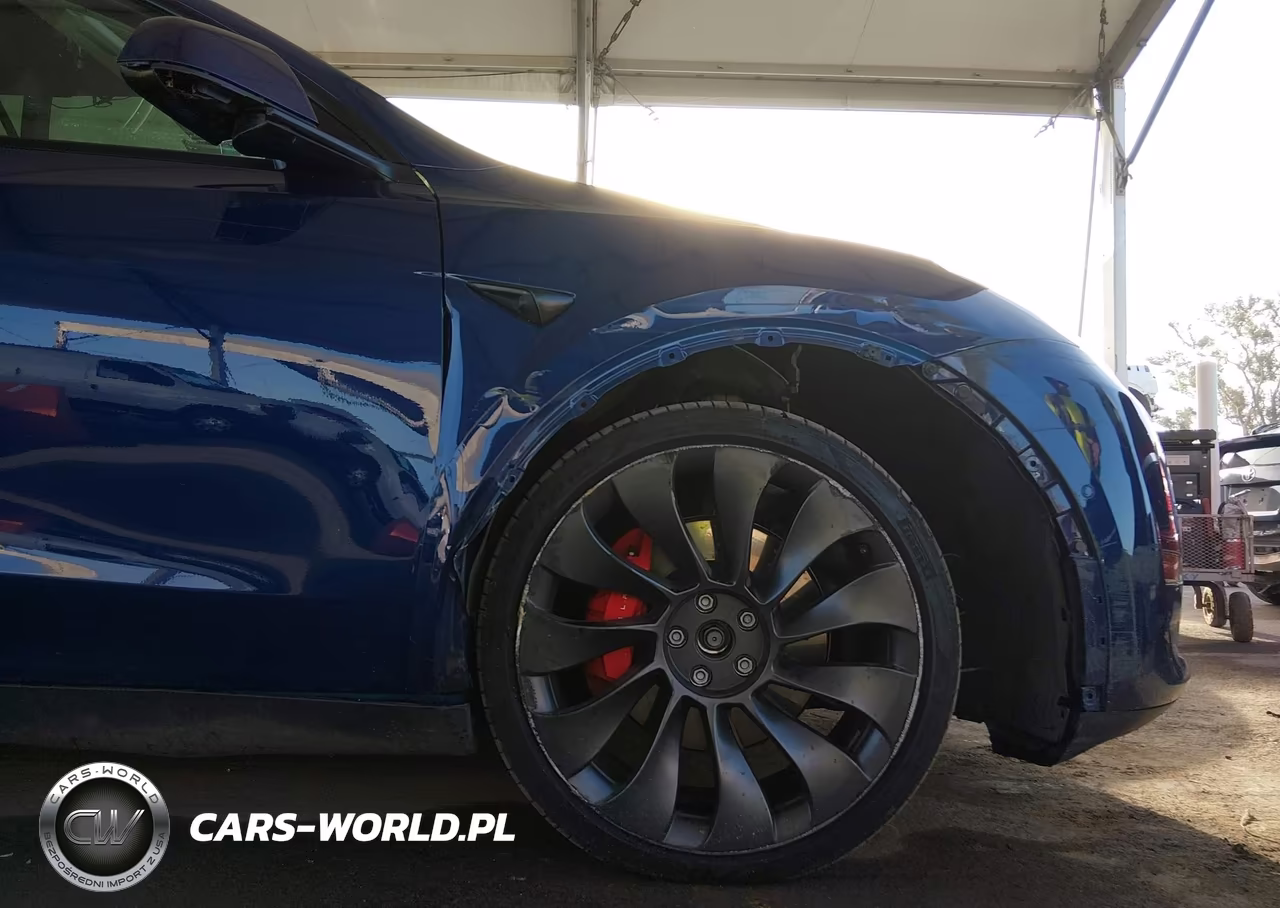2021 Tesla Model Y Performance Dual Motor All-Wheel Drive VIN:5YJYGDEF4MF197491 - 19