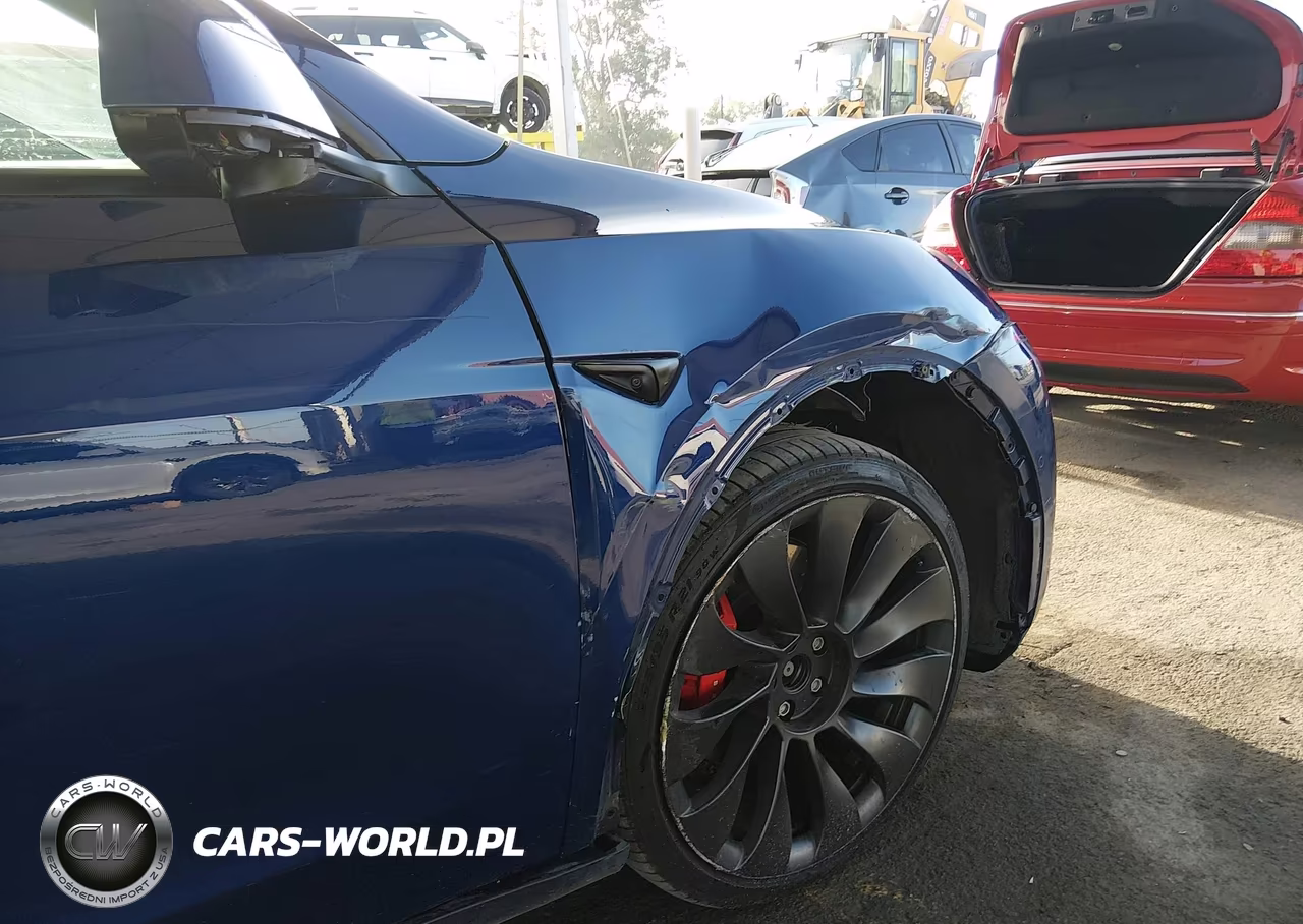 2021 Tesla Model Y Performance Dual Motor All-Wheel Drive VIN:5YJYGDEF4MF197491 - 21