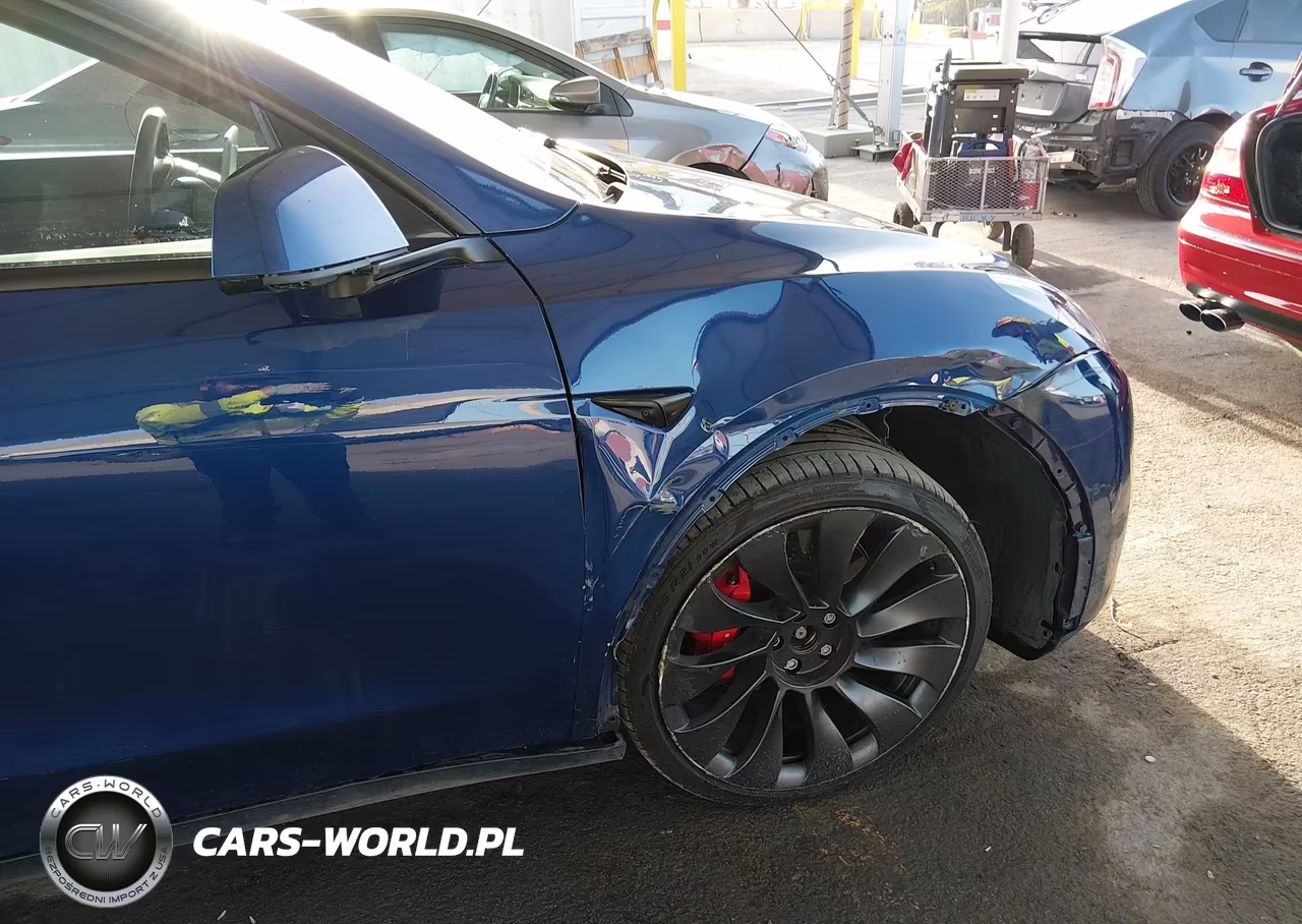 2021 Tesla Model Y Performance Dual Motor All-Wheel Drive VIN:5YJYGDEF4MF197491 - 6