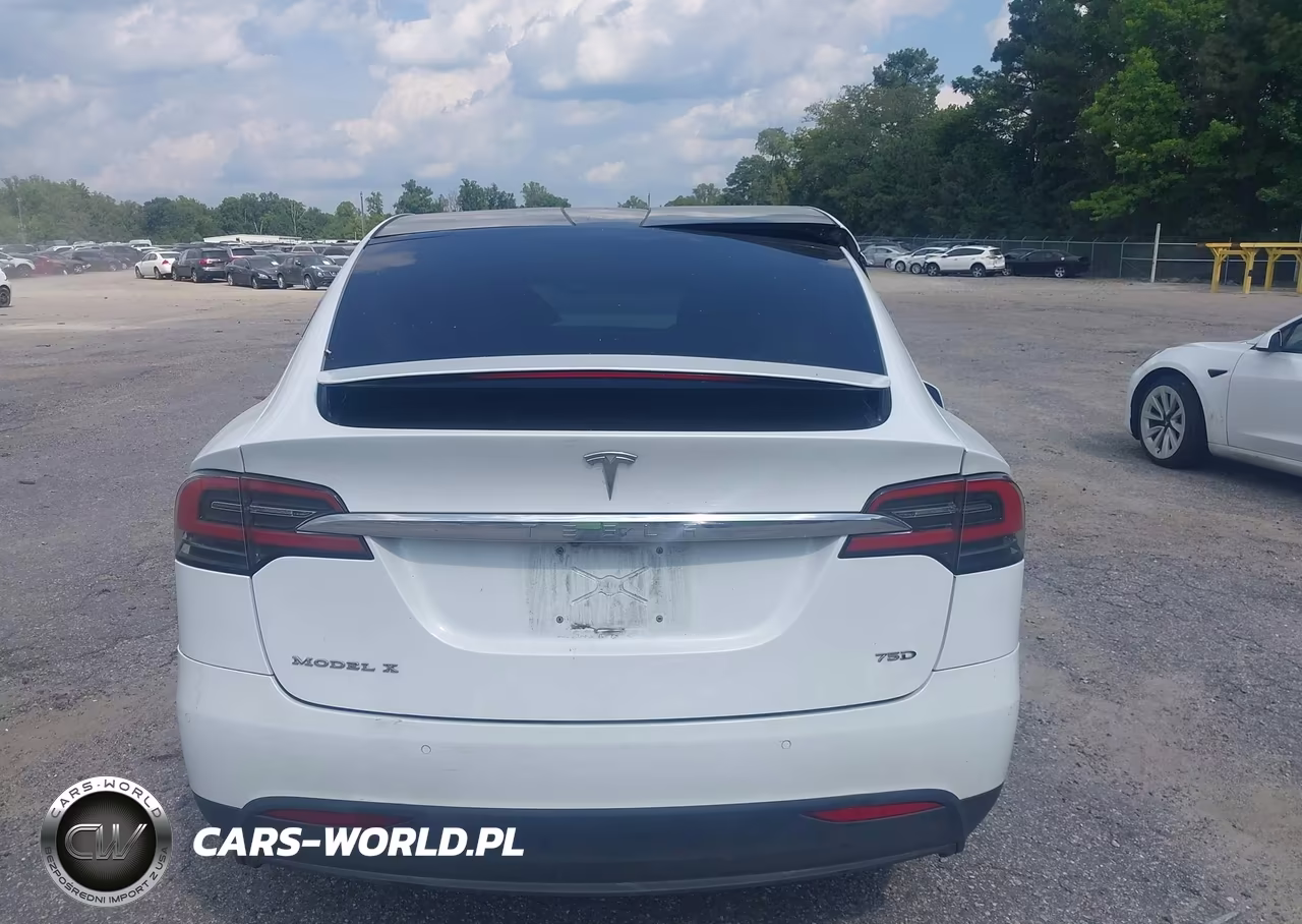 2018 Tesla Model X 100D-75D-P100D VIN:5YJXCBE29JF114027 - 15