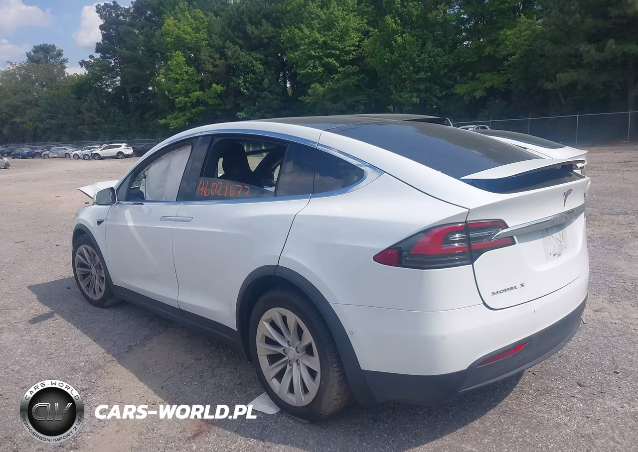2018 Tesla Model X 100D-75D-P100D VIN:5YJXCBE29JF114027 - 3