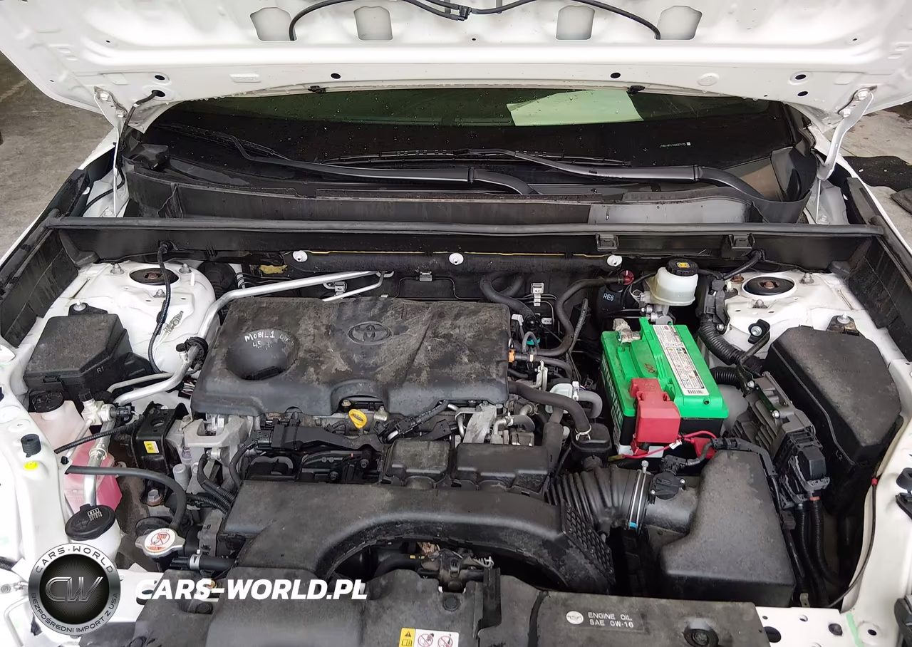 2019 Toyota Rav4 Limited VIN:JTMN1RFV1KD037970 - 10