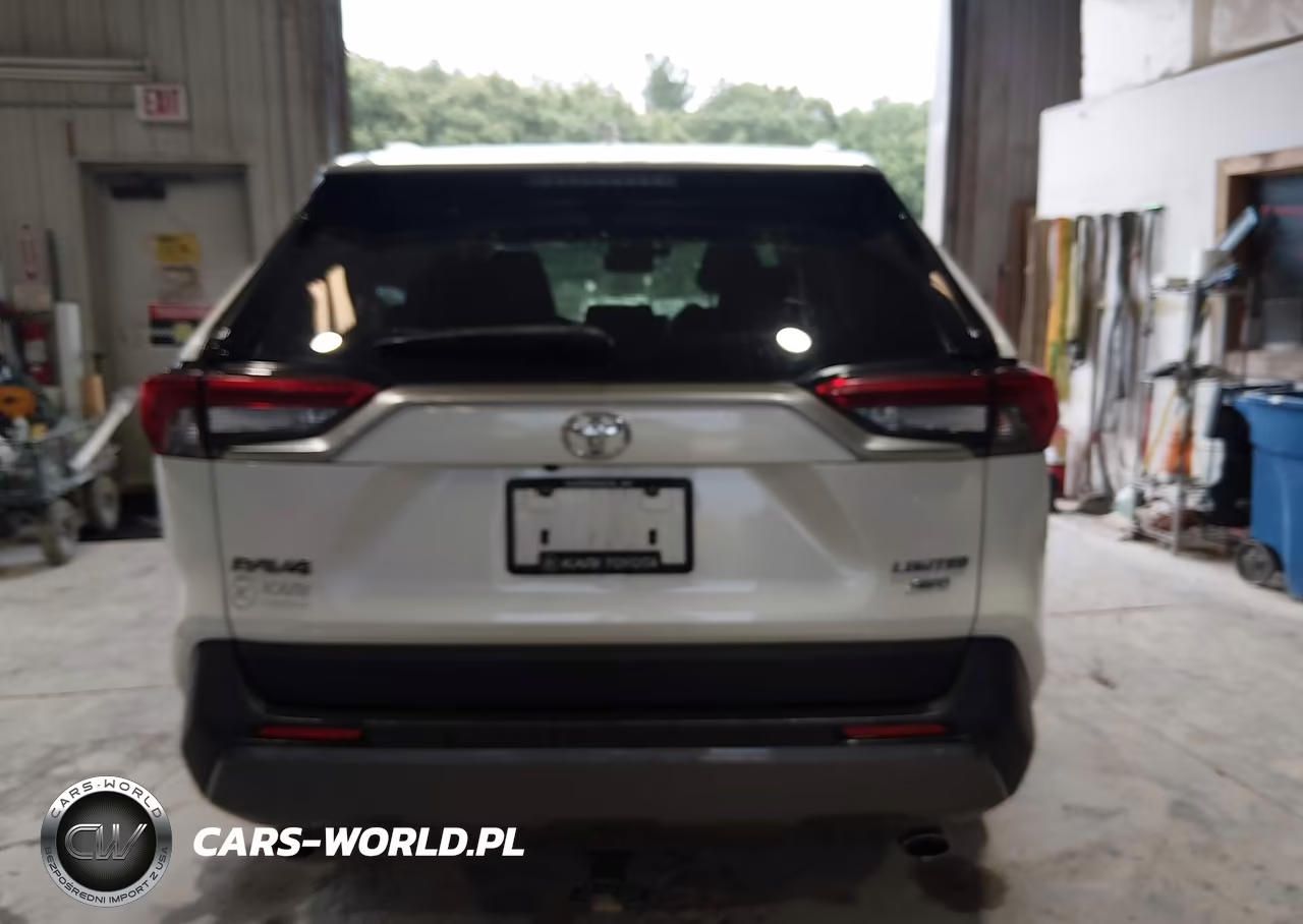 2019 Toyota Rav4 Limited VIN:JTMN1RFV1KD037970 - 17