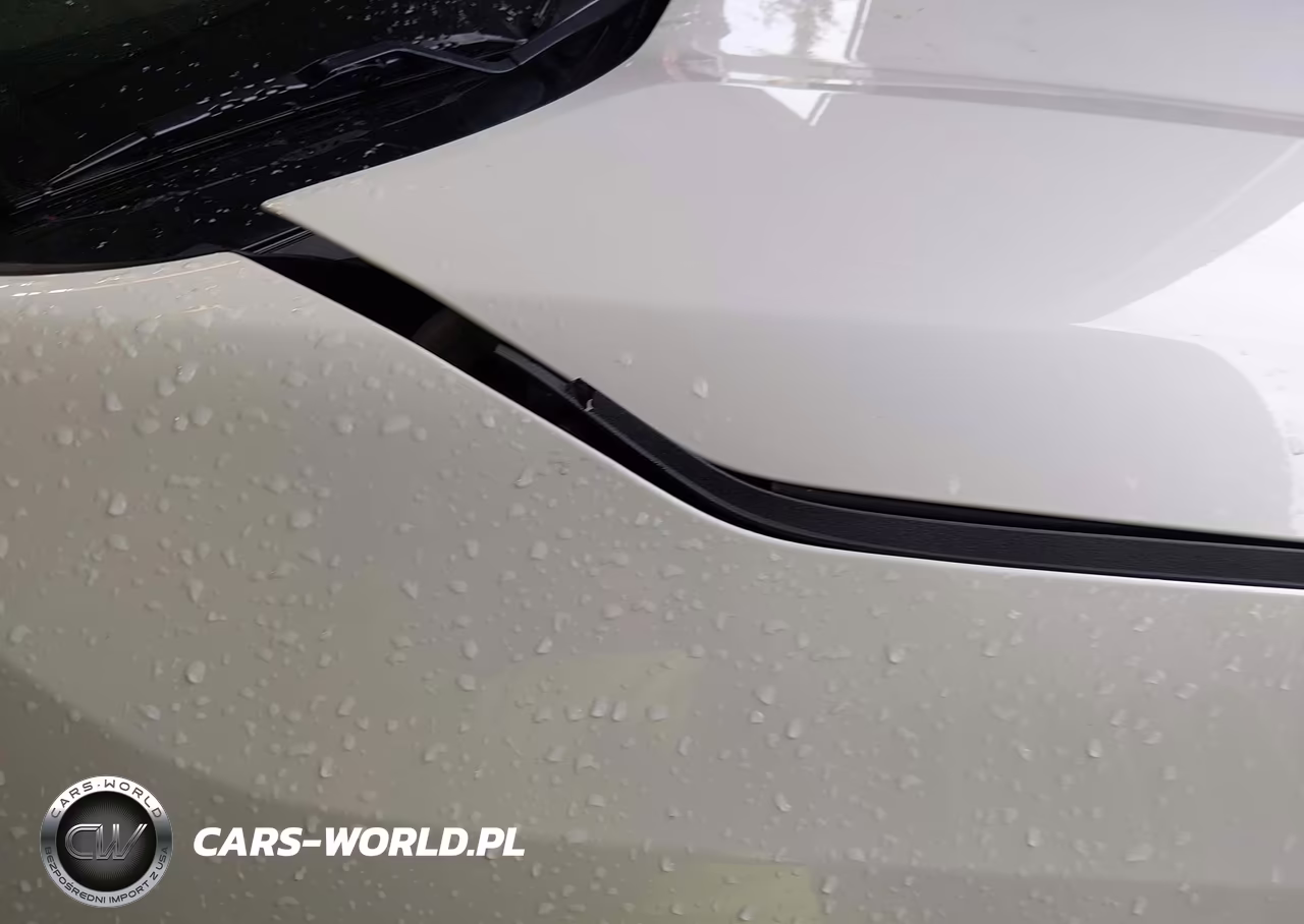 2019 Toyota Rav4 Limited VIN:JTMN1RFV1KD037970 - 20