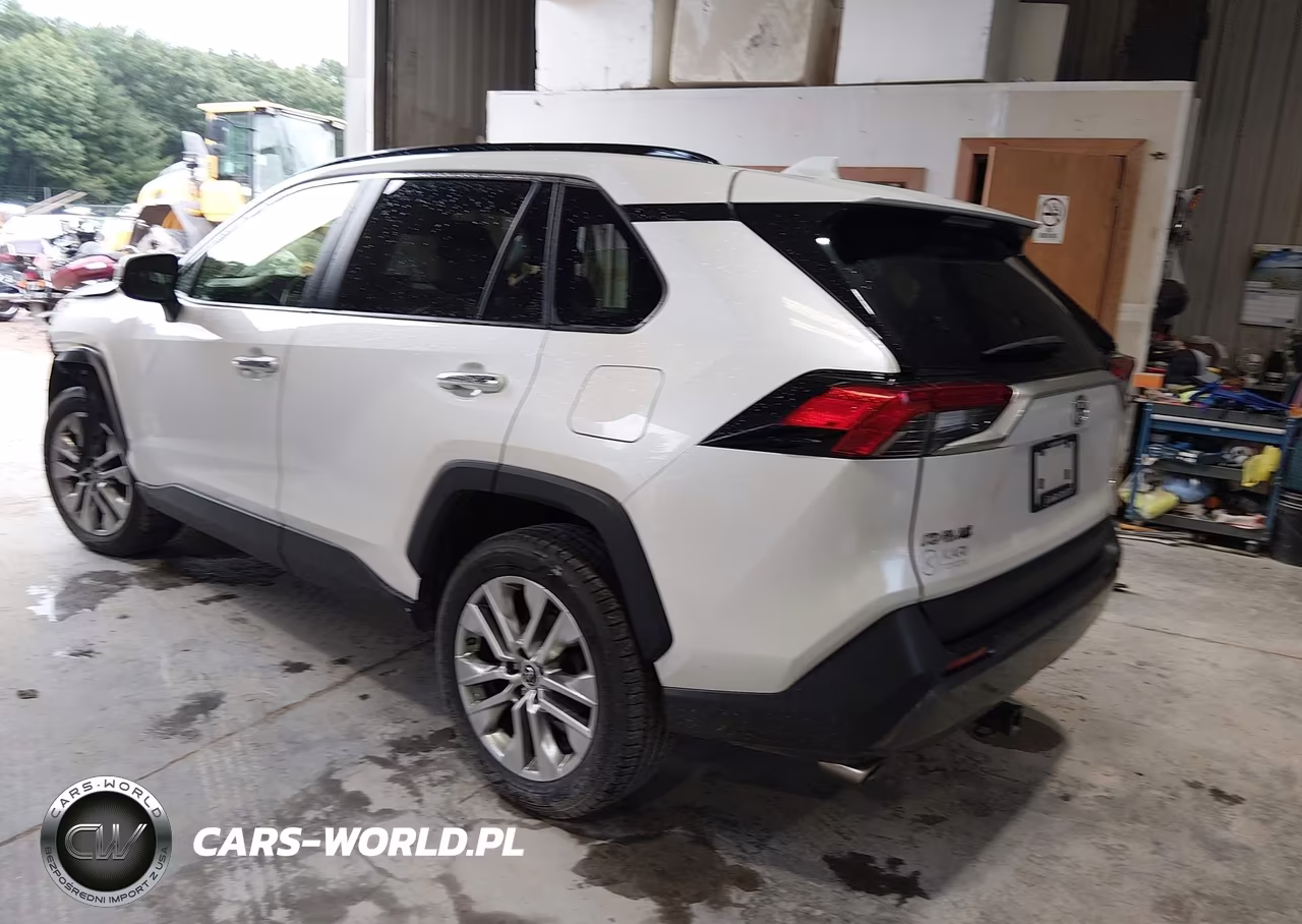 2019 Toyota Rav4 Limited VIN:JTMN1RFV1KD037970 - 3