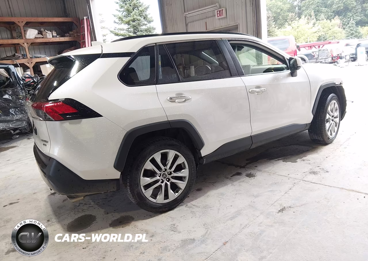 2019 Toyota Rav4 Limited VIN:JTMN1RFV1KD037970 - 4