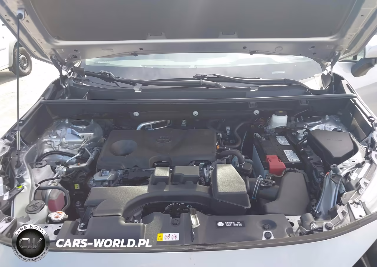 2024 Toyota Rav4 Xle VIN:2T3W1RFV6RC293525 - 10