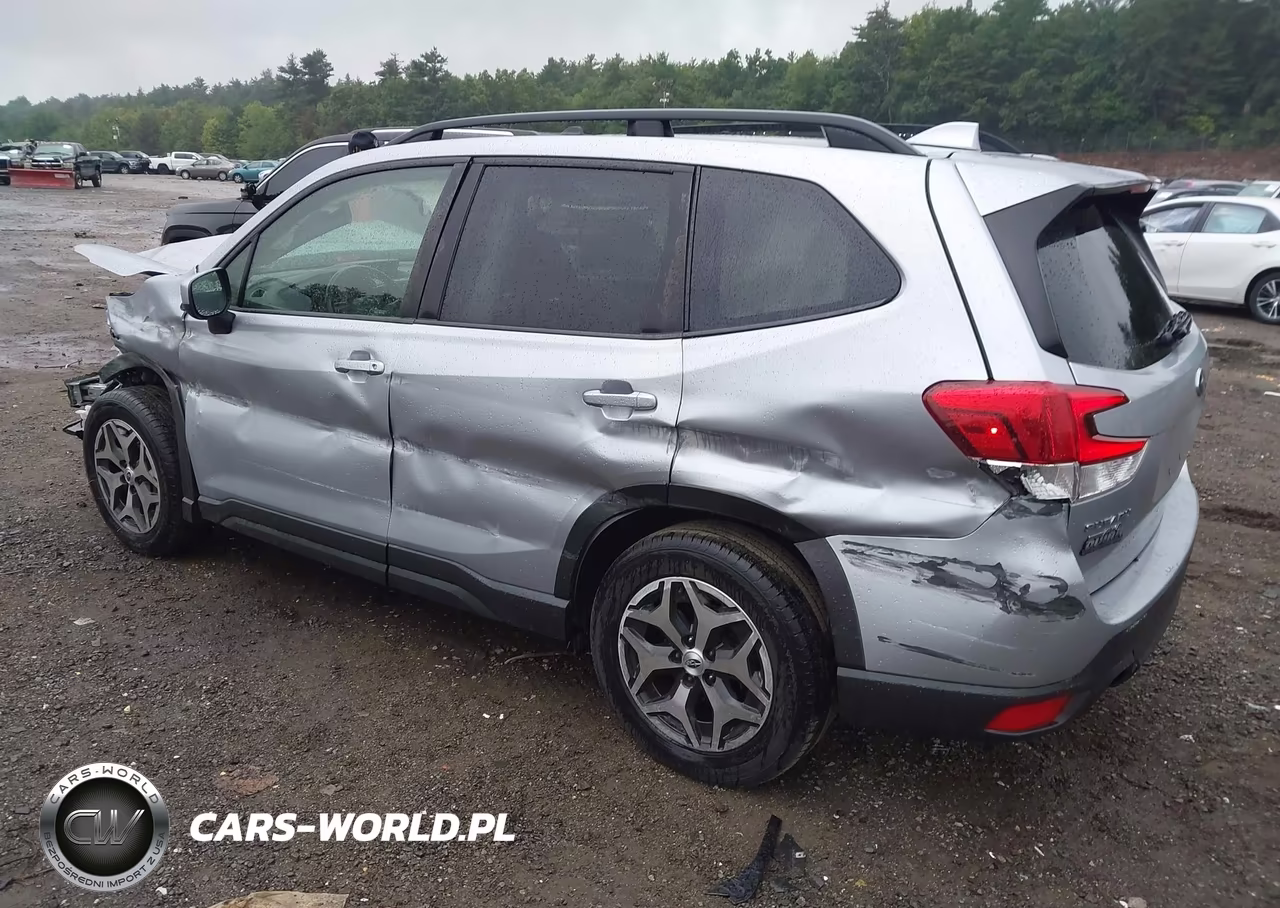 2019 Subaru Forester Premium VIN:JF2SKAGC6KH493794 - 3
