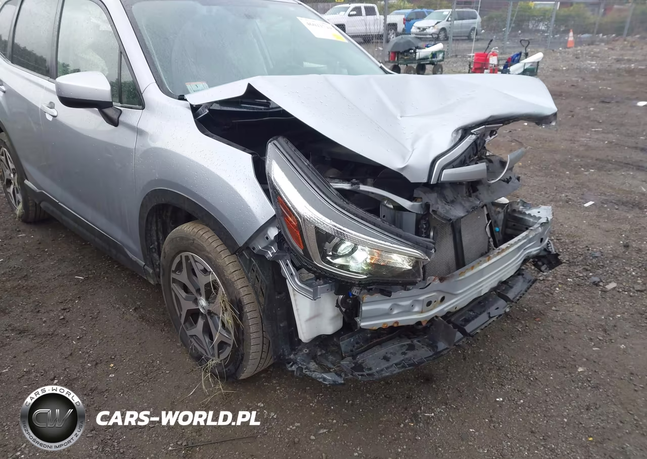 2019 Subaru Forester Premium VIN:JF2SKAGC6KH493794 - 6