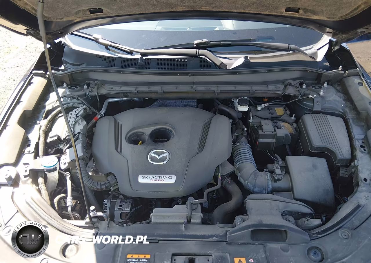 2024 Mazda Cx-5 2.5 Turbo Premium VIN:JM3KFBDY2R0536066 - 10