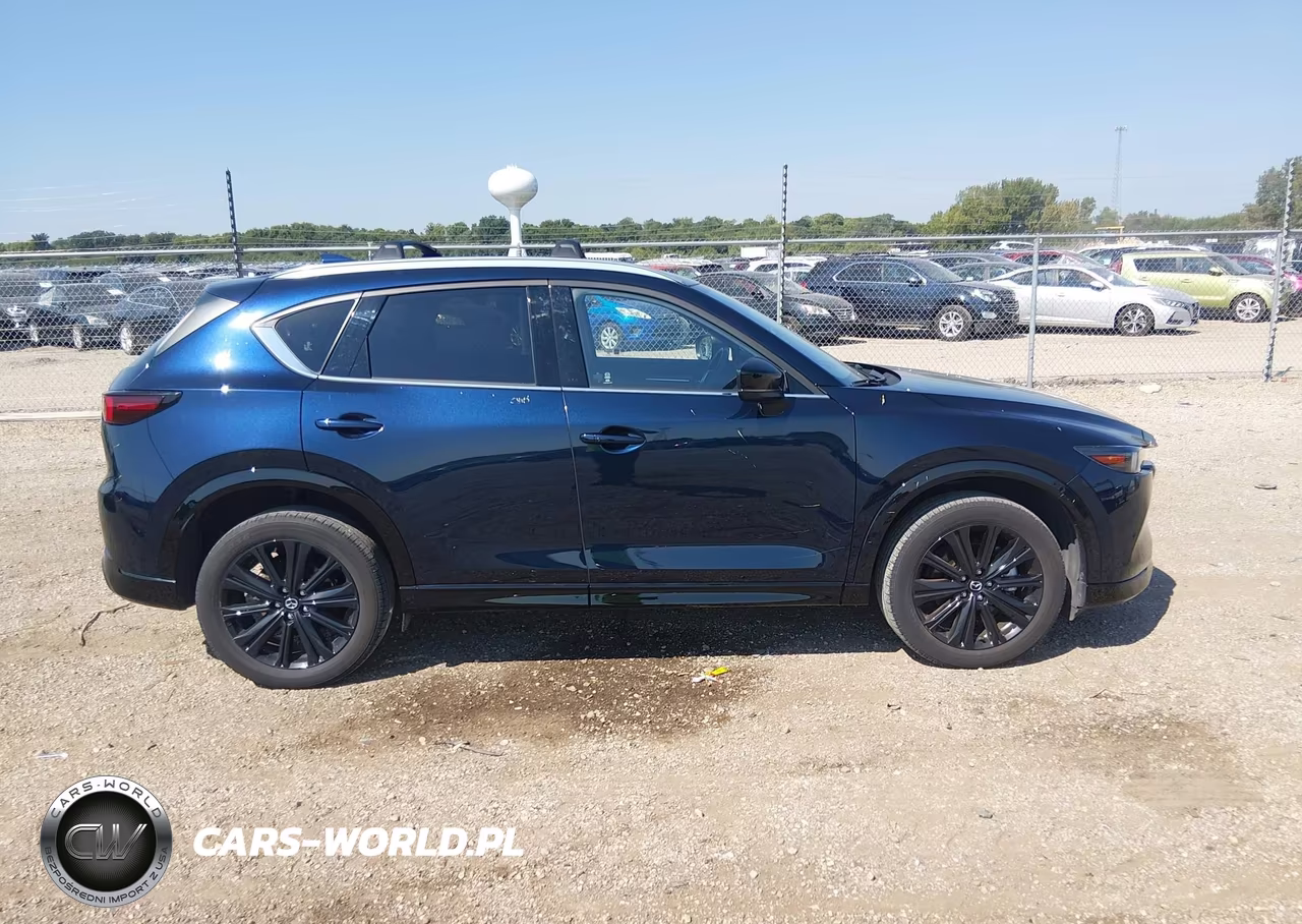 2024 Mazda Cx-5 2.5 Turbo Premium VIN:JM3KFBDY2R0536066 - 13