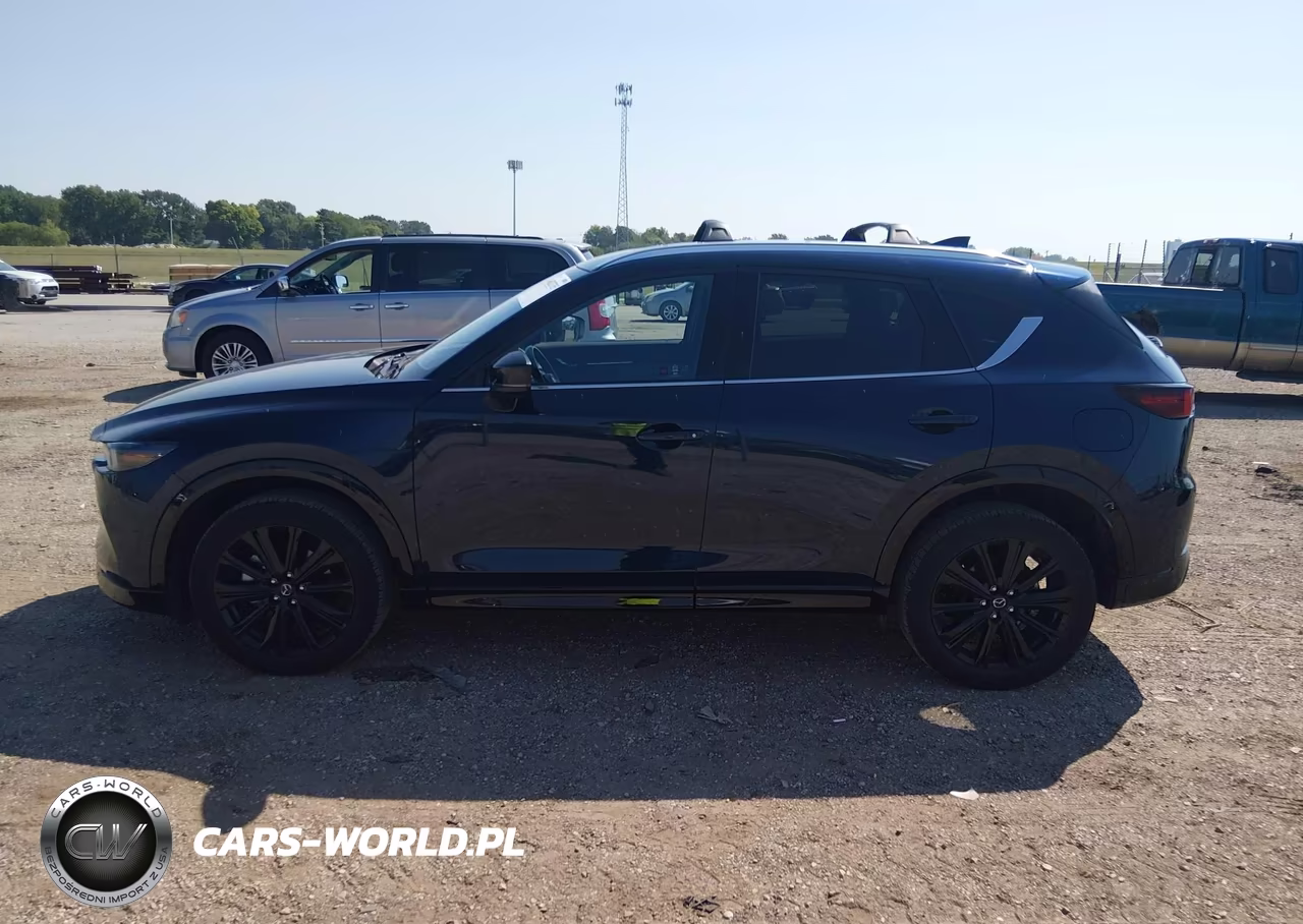 2024 Mazda Cx-5 2.5 Turbo Premium VIN:JM3KFBDY2R0536066 - 14