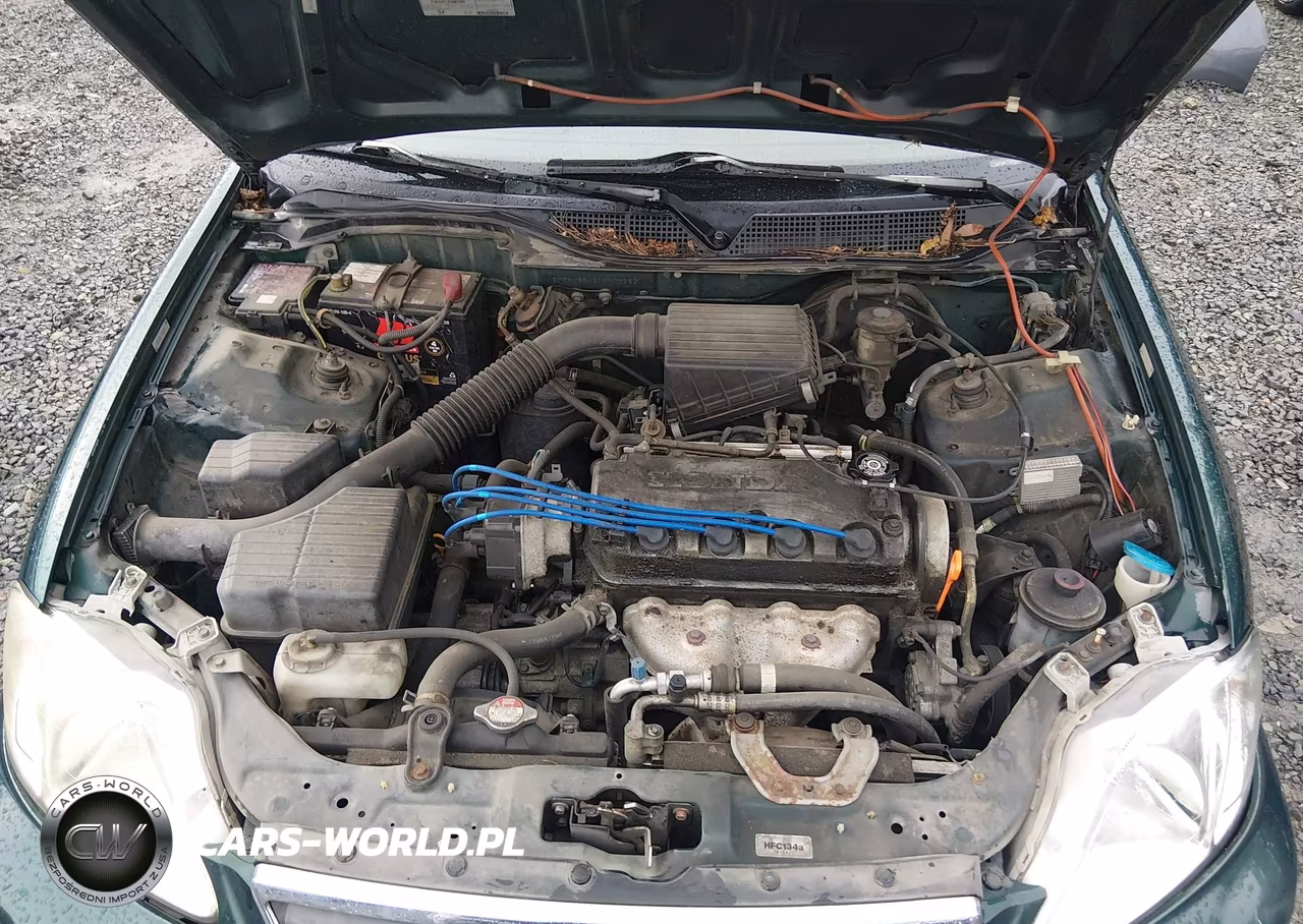 2000 Honda Civic Value Package VIN:2HGEJ6612YH900252 - 10