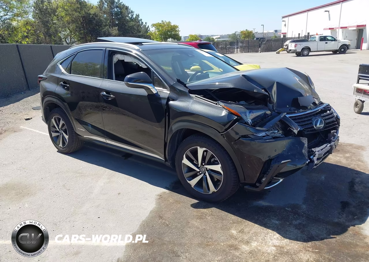 2018 Lexus Nx 300H VIN:JTJBJRBZ2J2076148 - 1