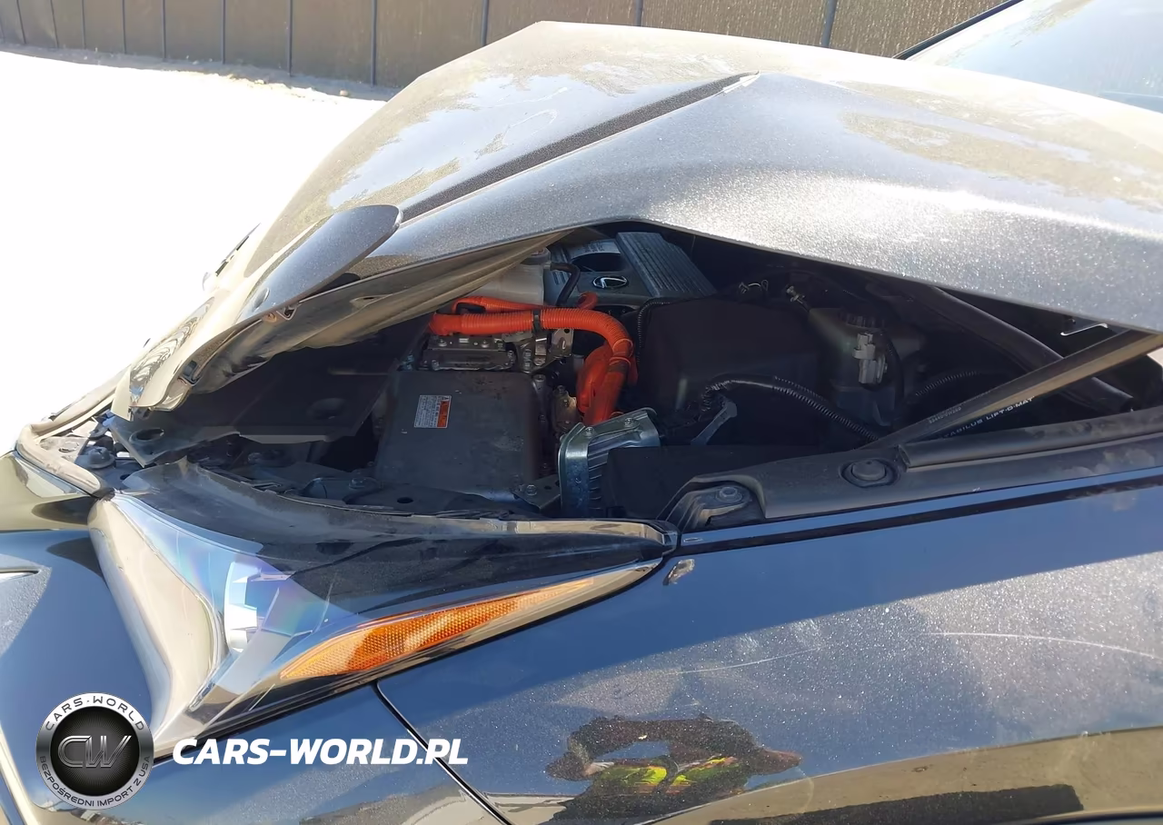 2018 Lexus Nx 300H VIN:JTJBJRBZ2J2076148 - 10