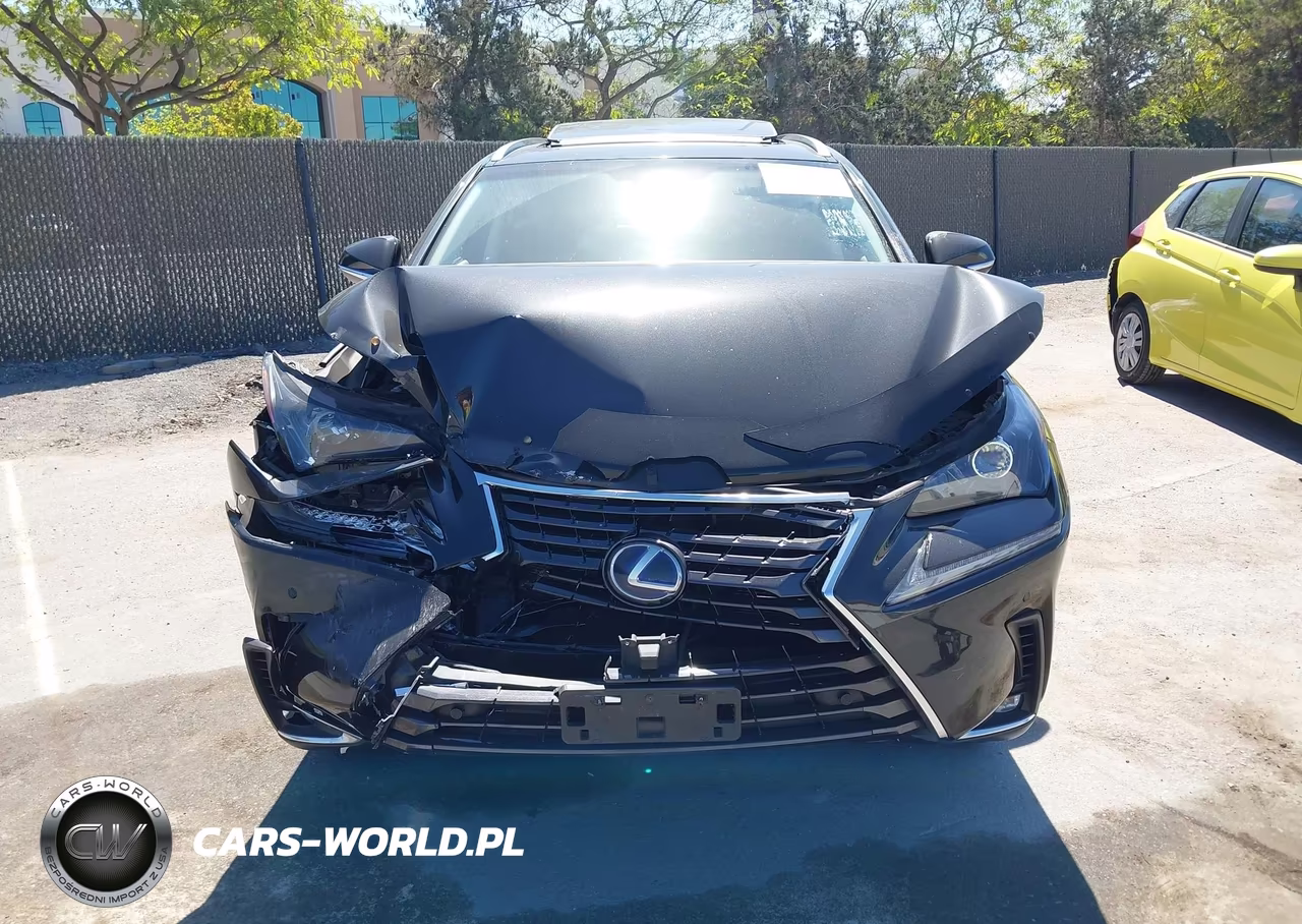 2018 Lexus Nx 300H VIN:JTJBJRBZ2J2076148 - 12