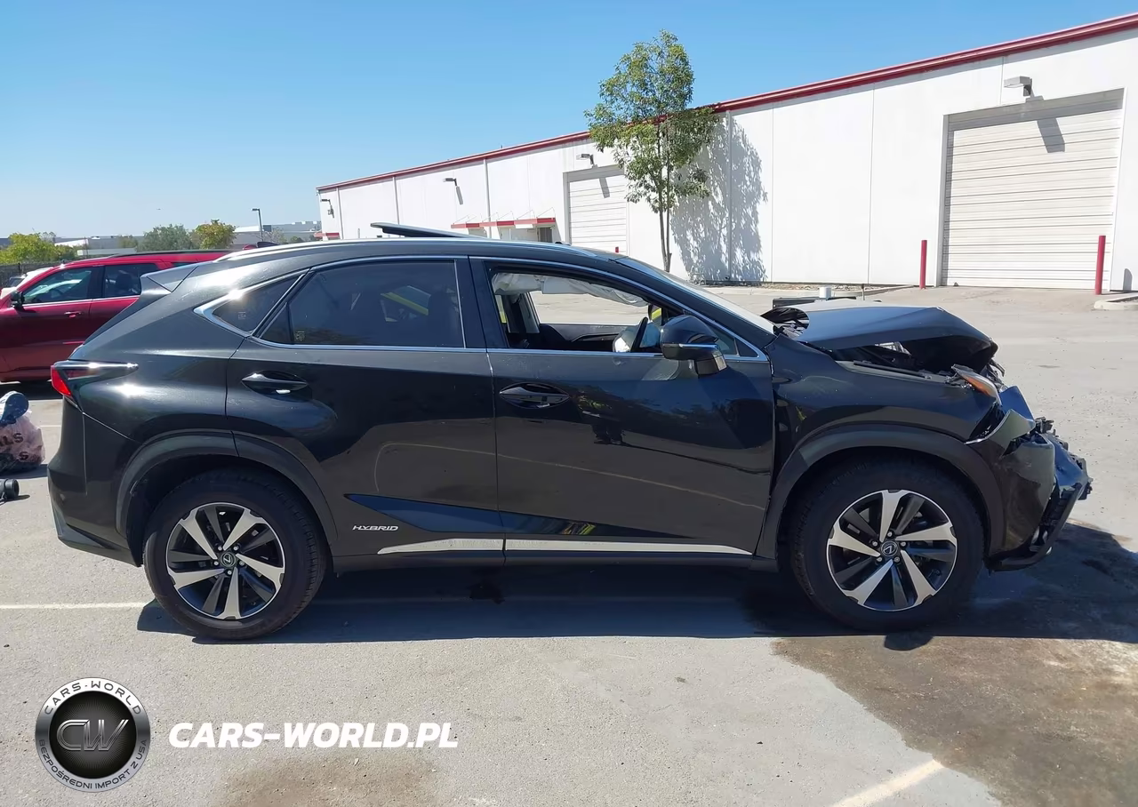 2018 Lexus Nx 300H VIN:JTJBJRBZ2J2076148 - 13