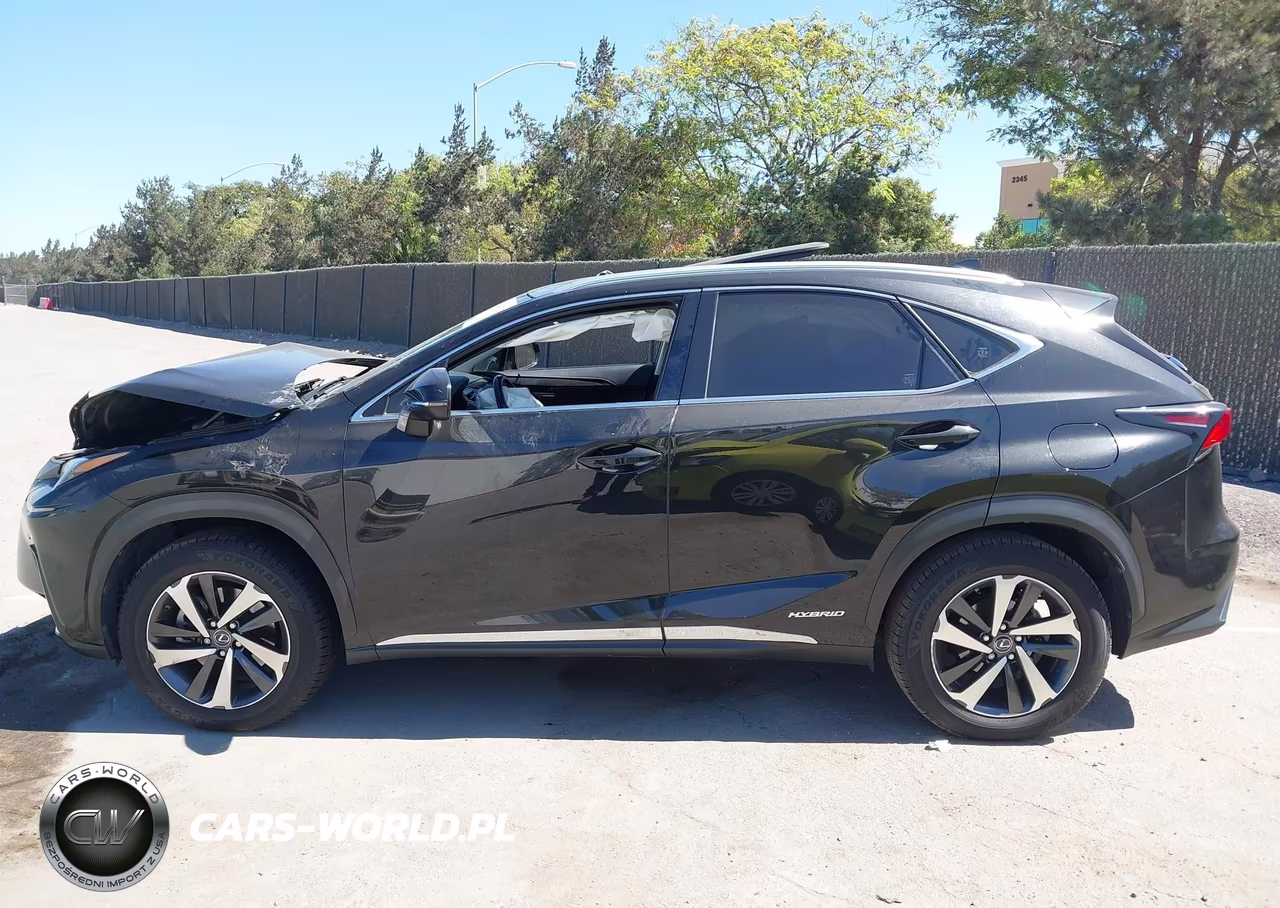 2018 Lexus Nx 300H VIN:JTJBJRBZ2J2076148 - 14