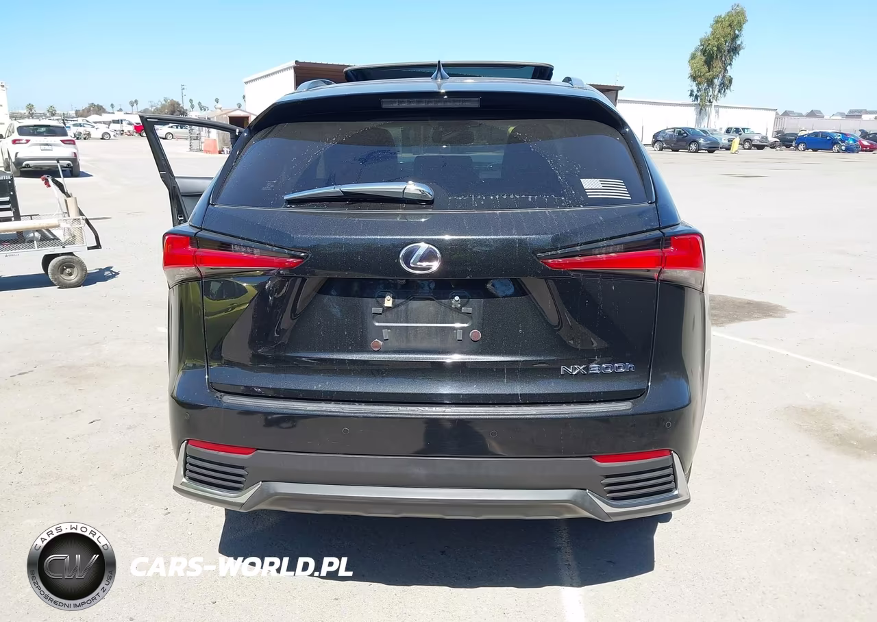 2018 Lexus Nx 300H VIN:JTJBJRBZ2J2076148 - 16