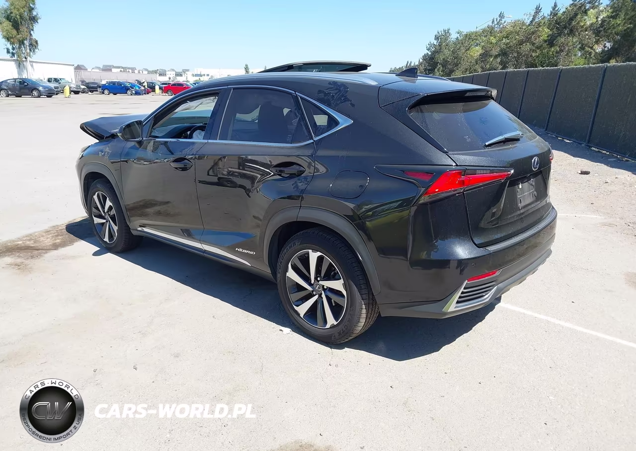 2018 Lexus Nx 300H VIN:JTJBJRBZ2J2076148 - 3