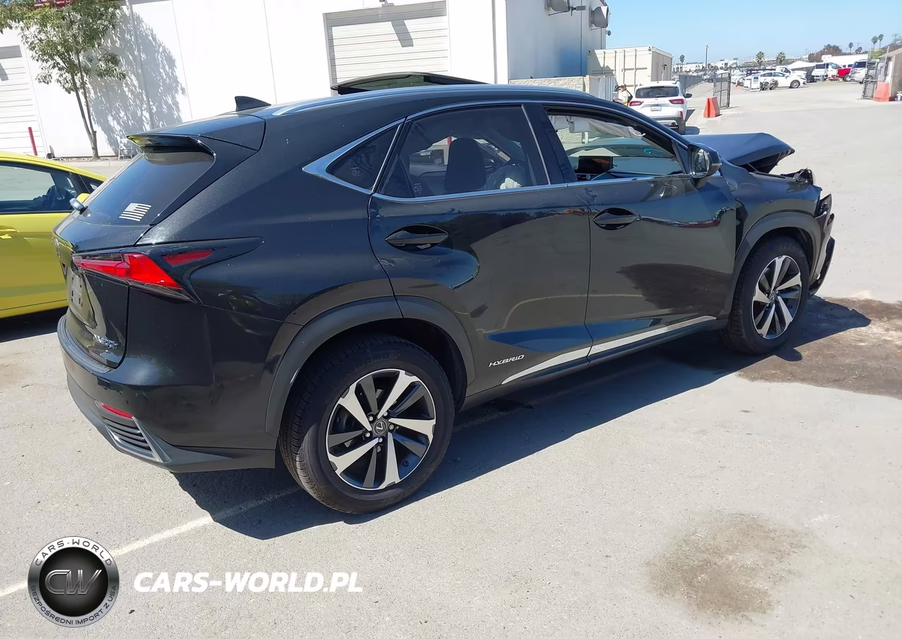 2018 Lexus Nx 300H VIN:JTJBJRBZ2J2076148 - 4