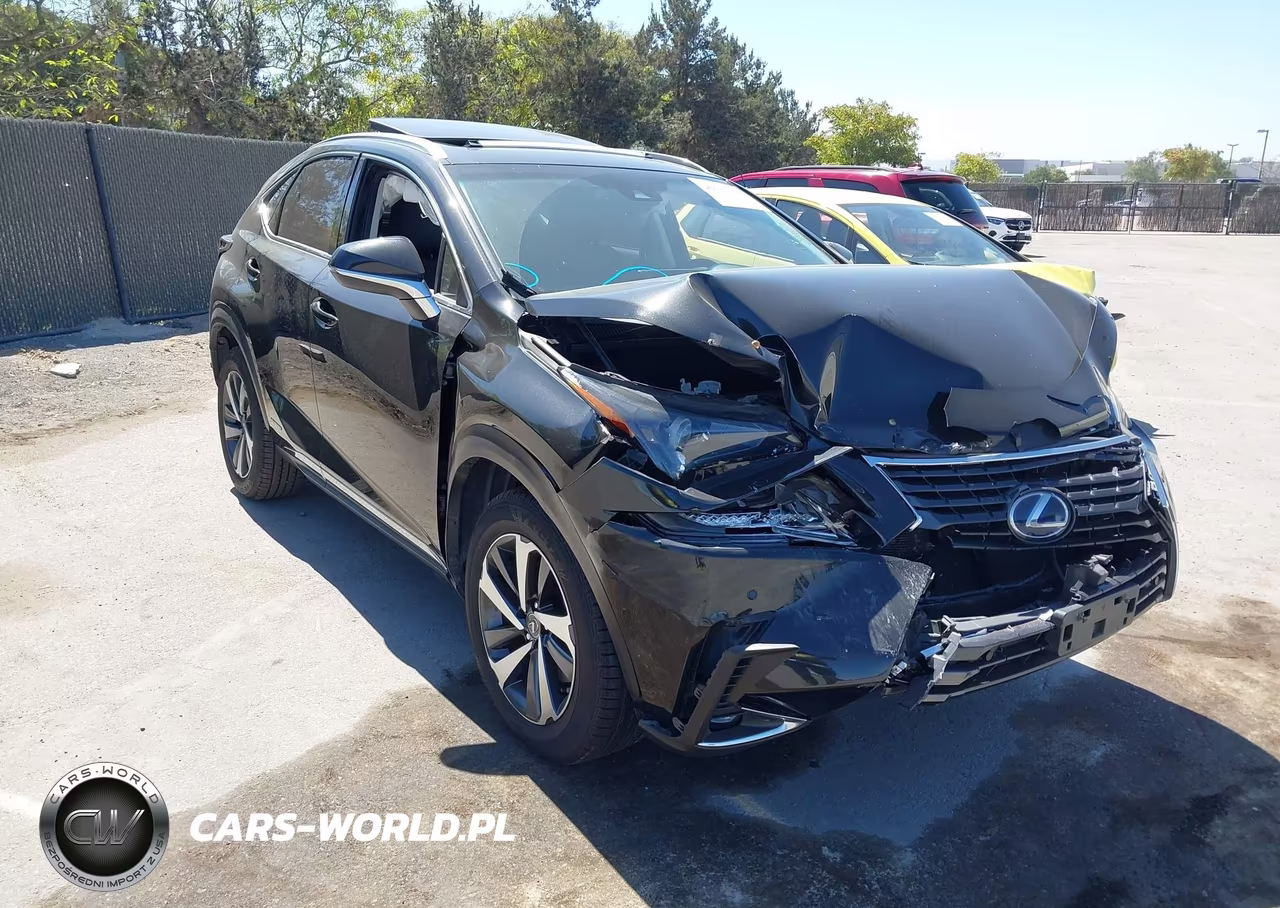 2018 Lexus Nx 300H VIN:JTJBJRBZ2J2076148 - 6