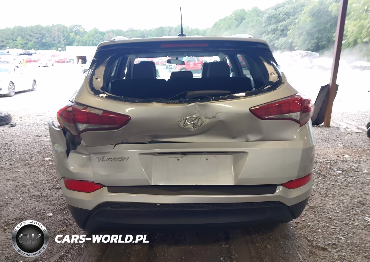 2016 Hyundai Tucson Se VIN:KM8J33A41GU177038 - 16