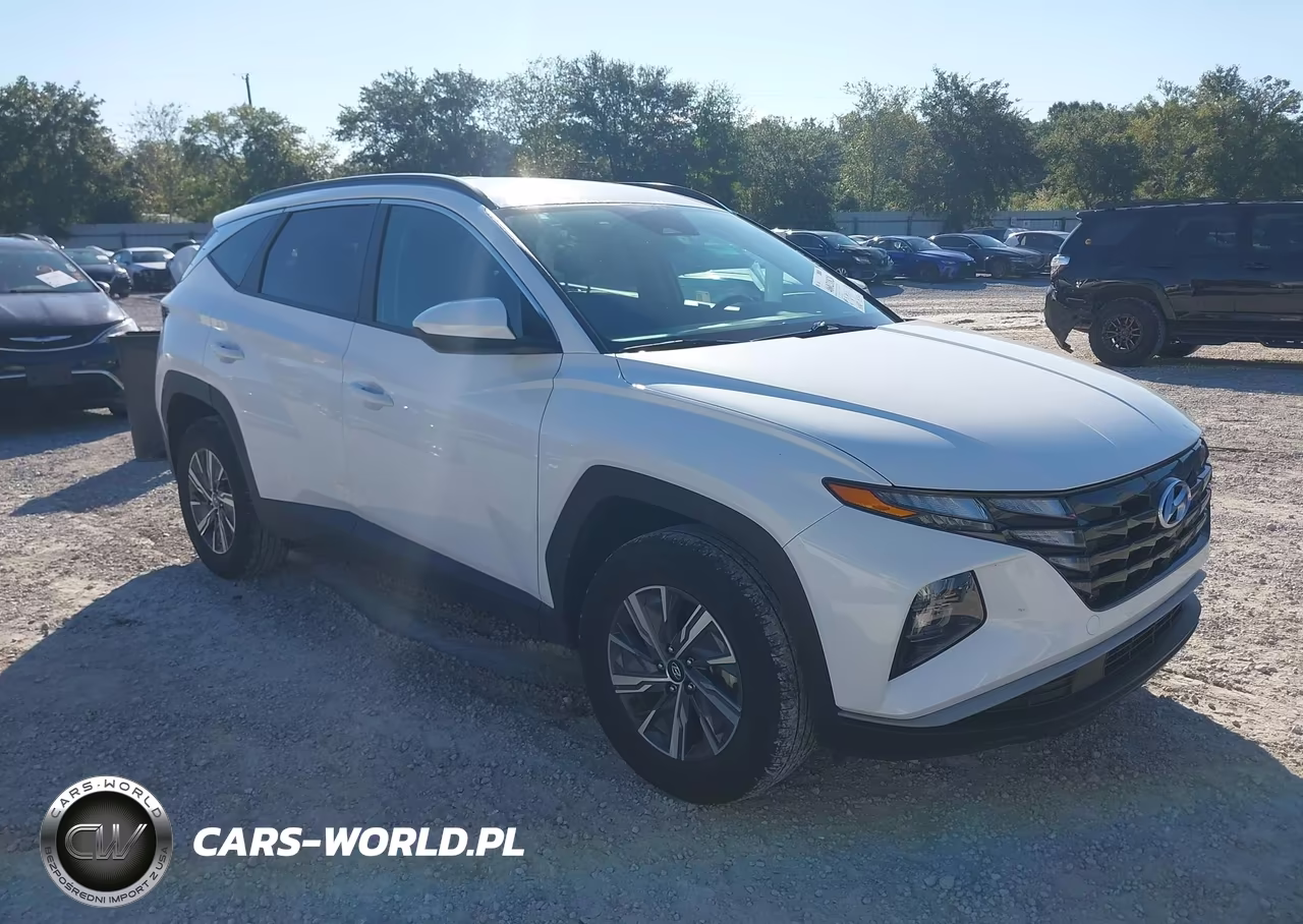 2024 Hyundai Tucson Hybrid Blue VIN:KM8JBCD1XRU236031 - 1
