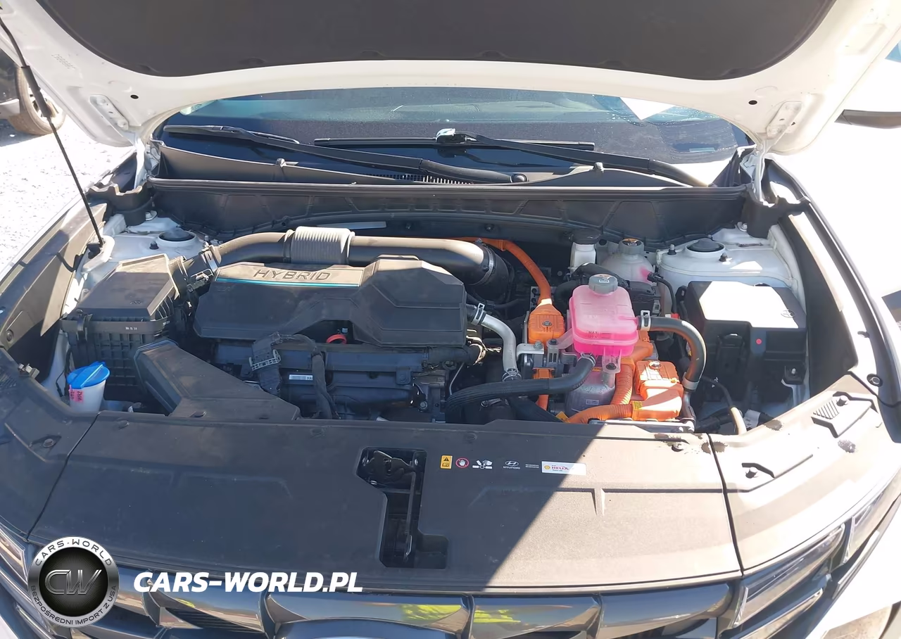 2024 Hyundai Tucson Hybrid Blue VIN:KM8JBCD1XRU236031 - 10