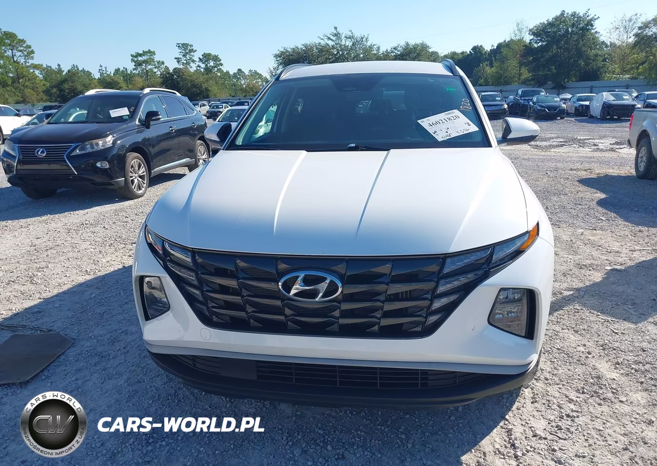 2024 Hyundai Tucson Hybrid Blue VIN:KM8JBCD1XRU236031 - 12