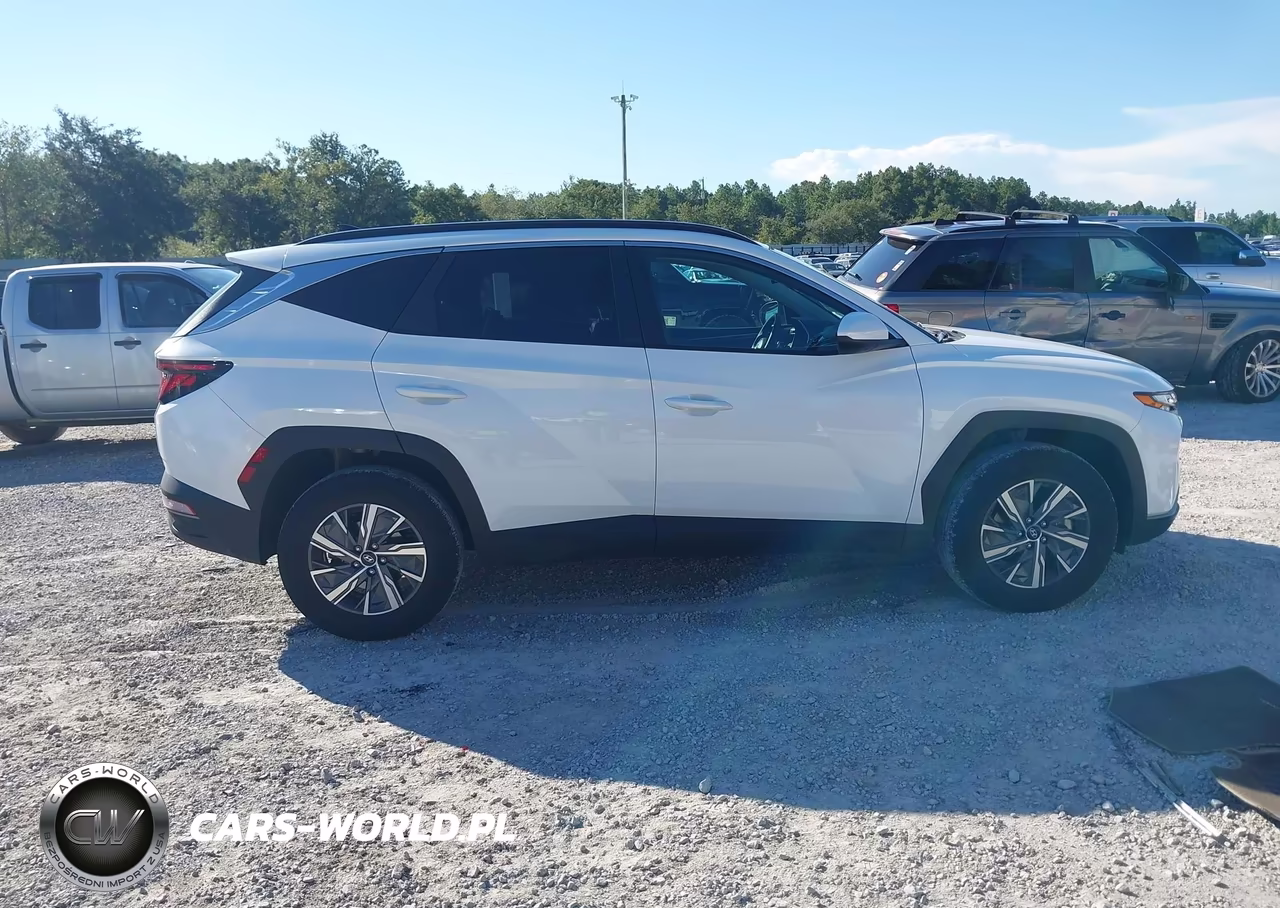 2024 Hyundai Tucson Hybrid Blue VIN:KM8JBCD1XRU236031 - 13
