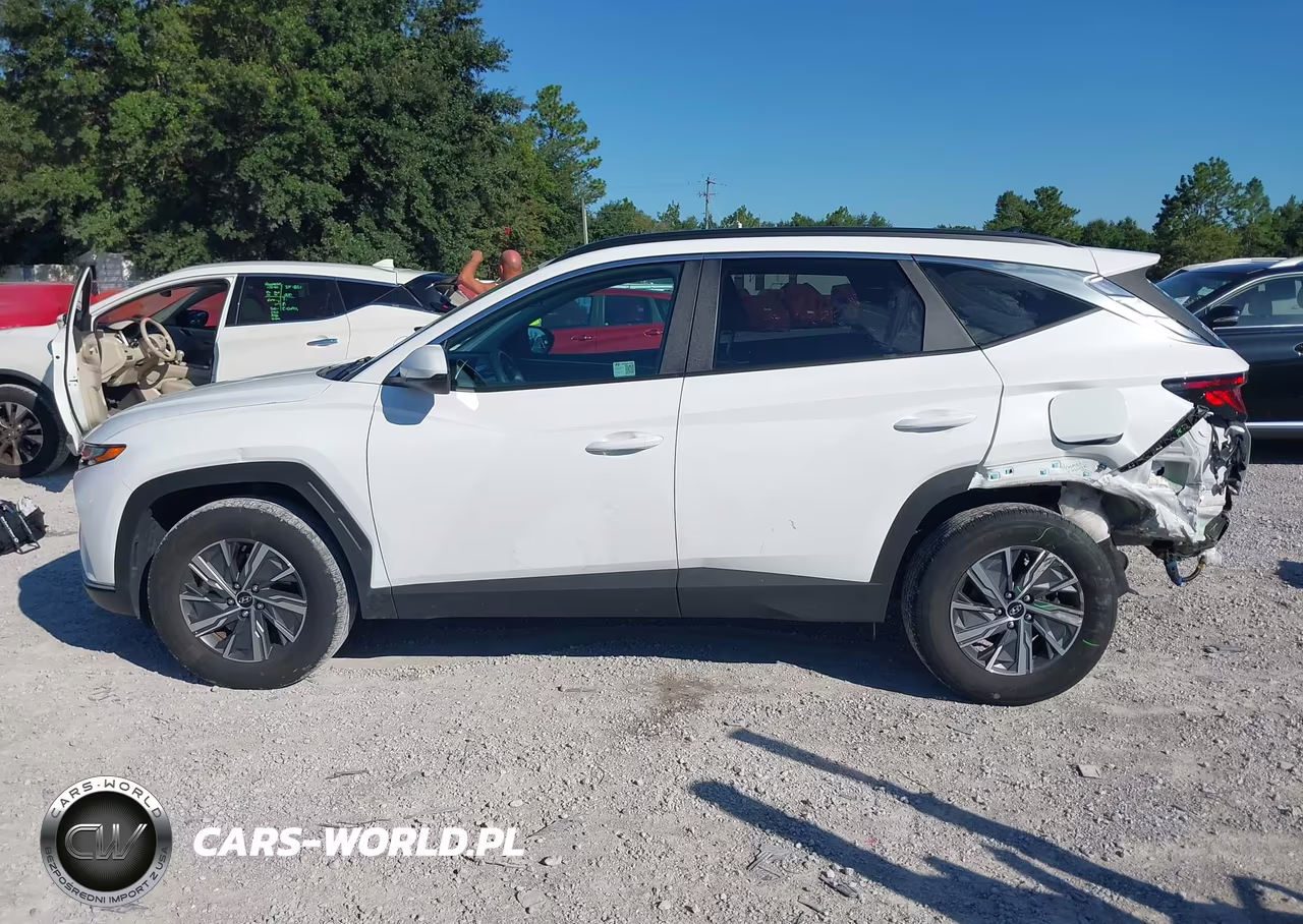 2024 Hyundai Tucson Hybrid Blue VIN:KM8JBCD1XRU236031 - 14