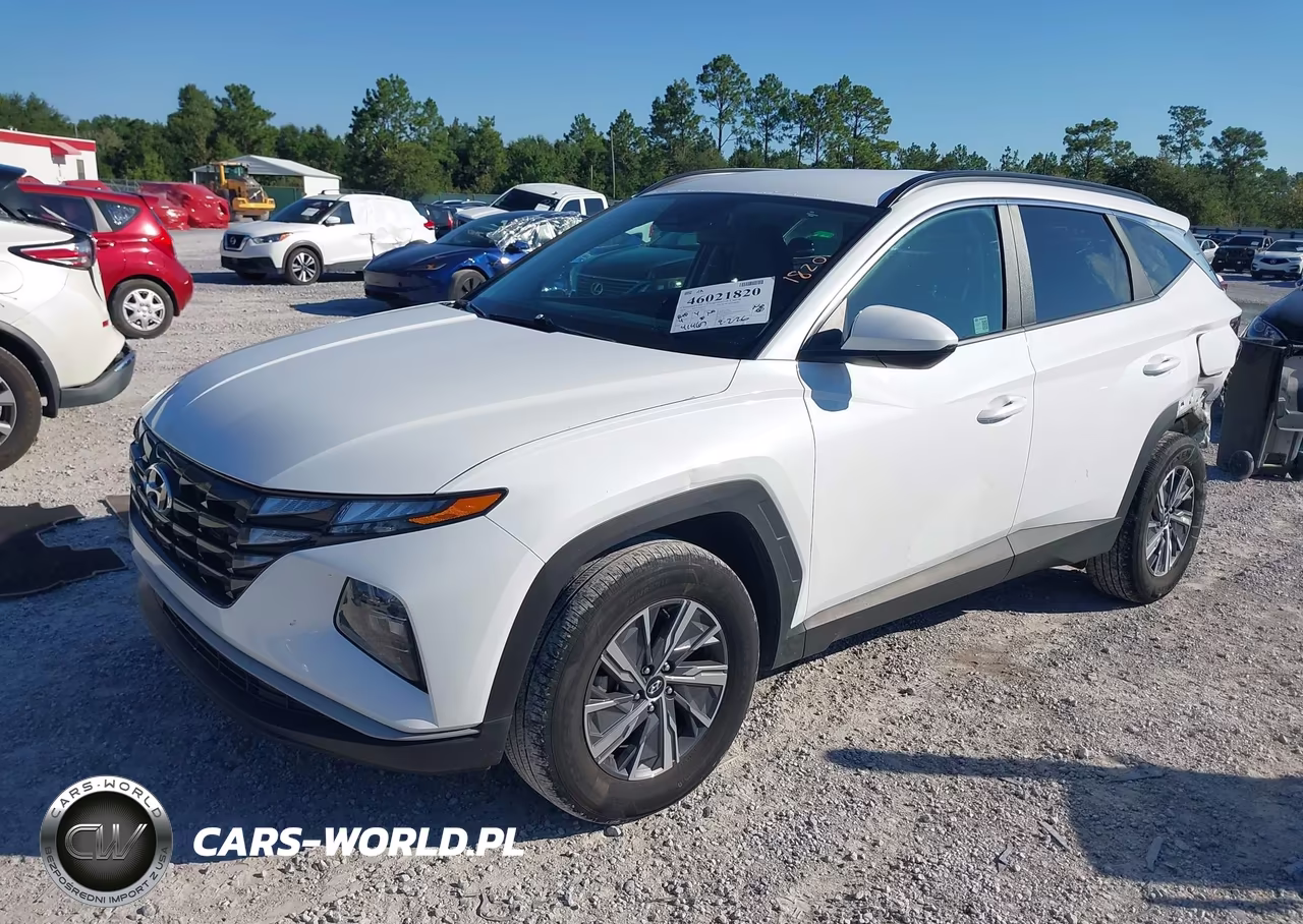 2024 Hyundai Tucson Hybrid Blue VIN:KM8JBCD1XRU236031 - 2