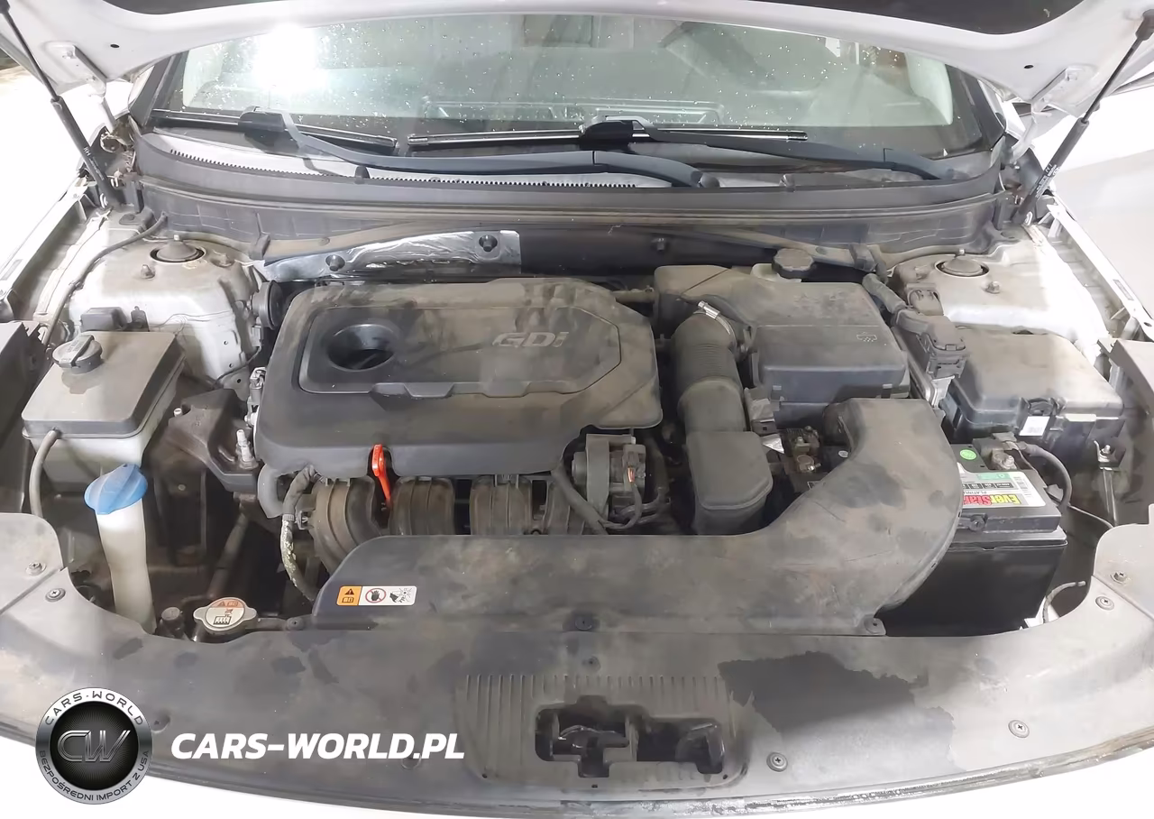 2015 Hyundai Sonata Se VIN:5NPE24AF0FH025387 - 10