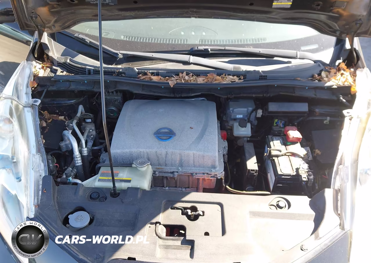 2014 Nissan Leaf Sl VIN:1N4AZ0CP0EC334429 - 10