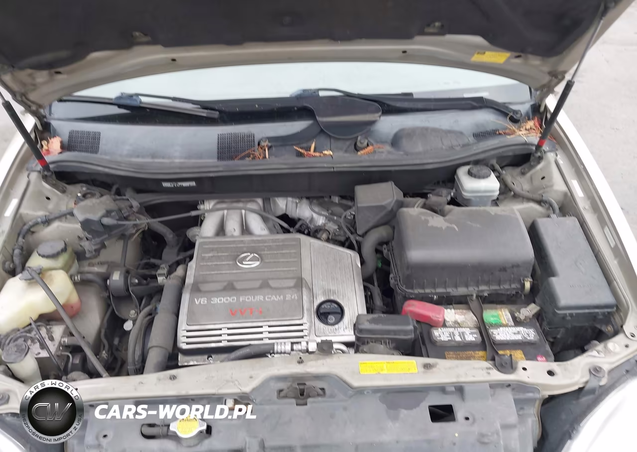 2001 Lexus Rx 300 VIN:JTJGF10UX10094179 - 10