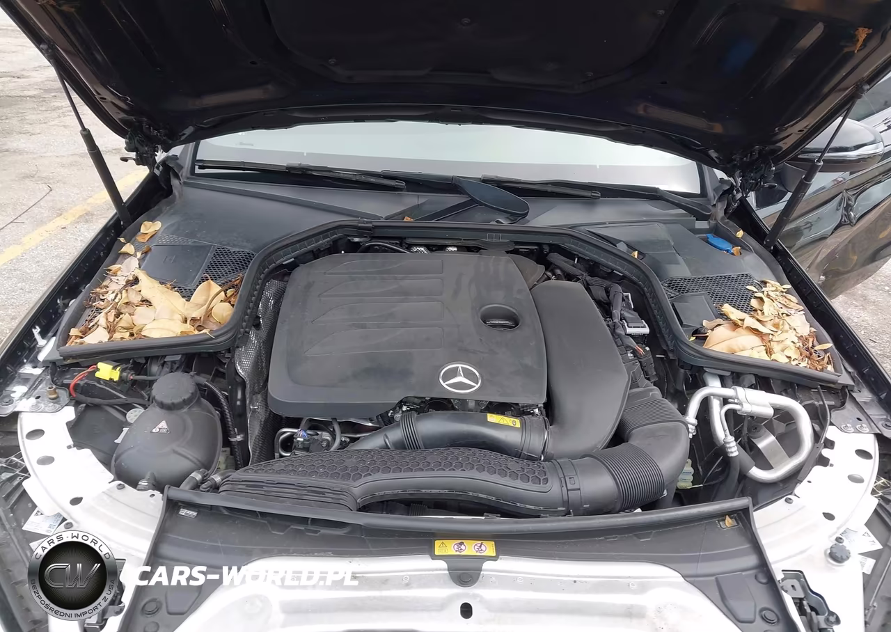 2023 Mercedes-Benz C 300 Coupe VIN:W1KWJ8DB0PG128747 - 10
