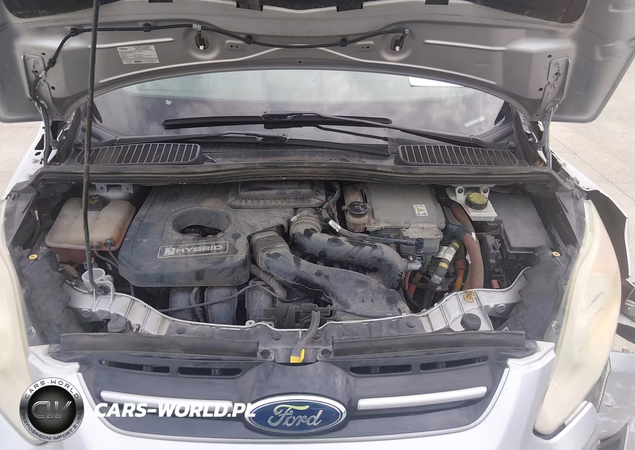 2015 Ford C-Max Hybrid Se VIN:1FADP5AU8FL118354 - 10