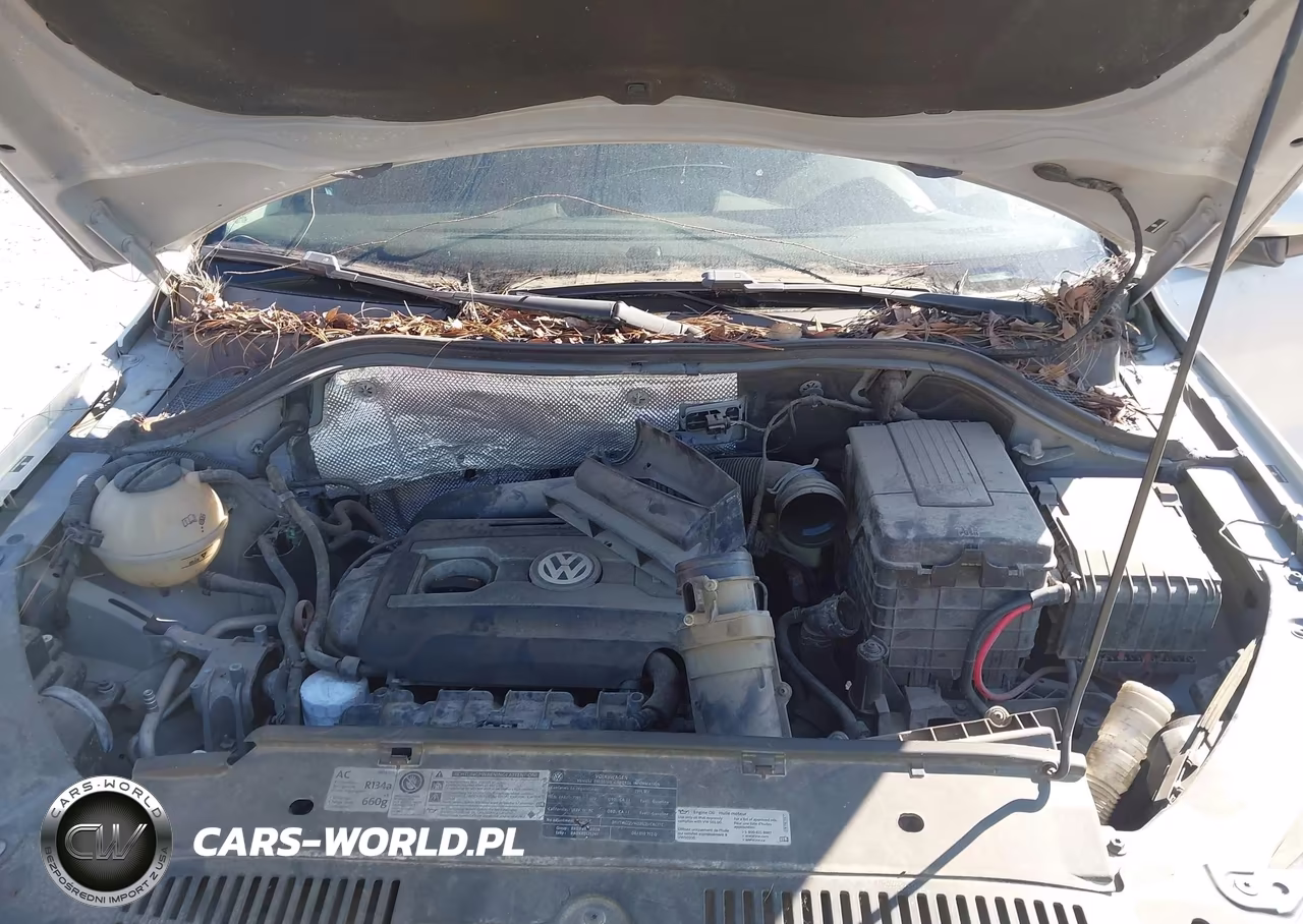 2011 Volkswagen Tiguan Se VIN:WVGAV7AX9BW568589 - 10