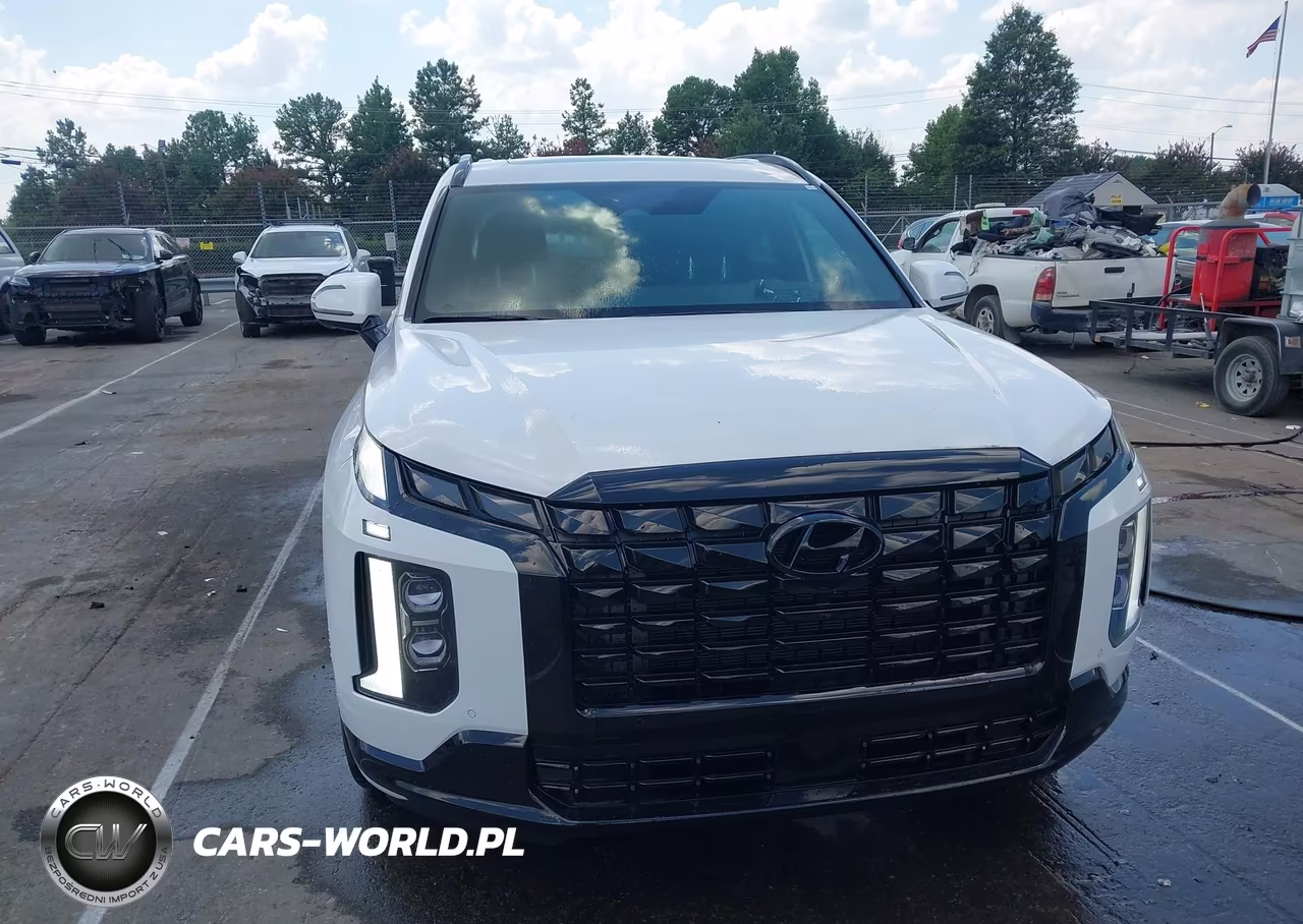 2024 Hyundai Palisade Calligraphy Night Edition VIN:KM8R7DGE4RU773860 - 12