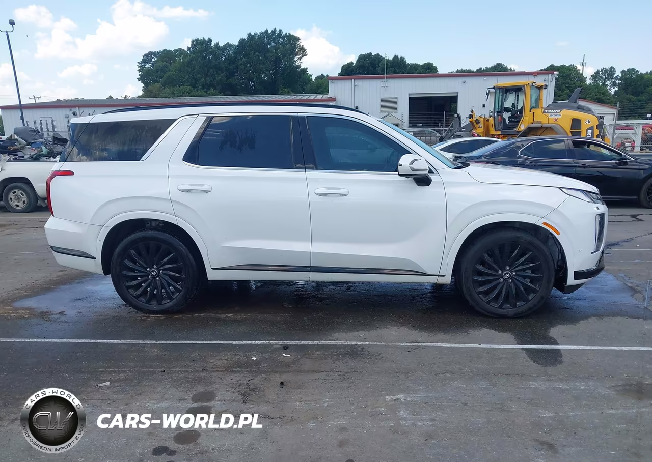 2024 Hyundai Palisade Calligraphy Night Edition VIN:KM8R7DGE4RU773860 - 13