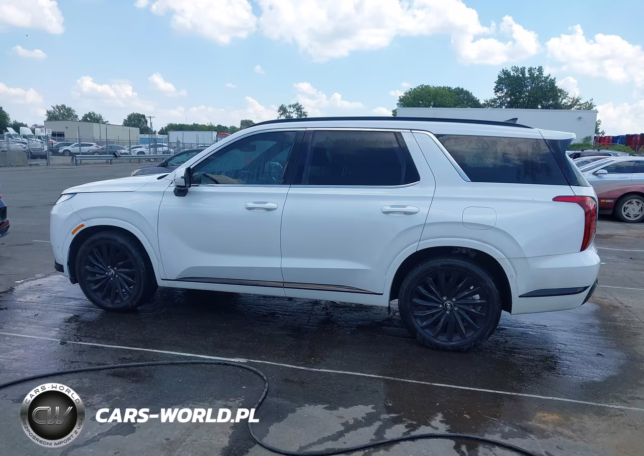 2024 Hyundai Palisade Calligraphy Night Edition VIN:KM8R7DGE4RU773860 - 14