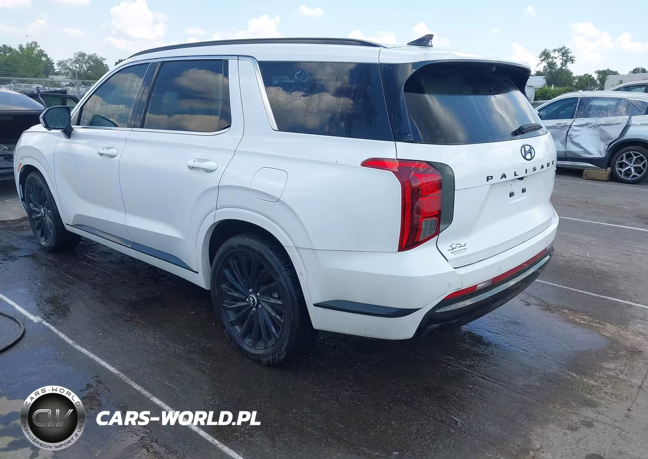 2024 Hyundai Palisade Calligraphy Night Edition VIN:KM8R7DGE4RU773860 - 3