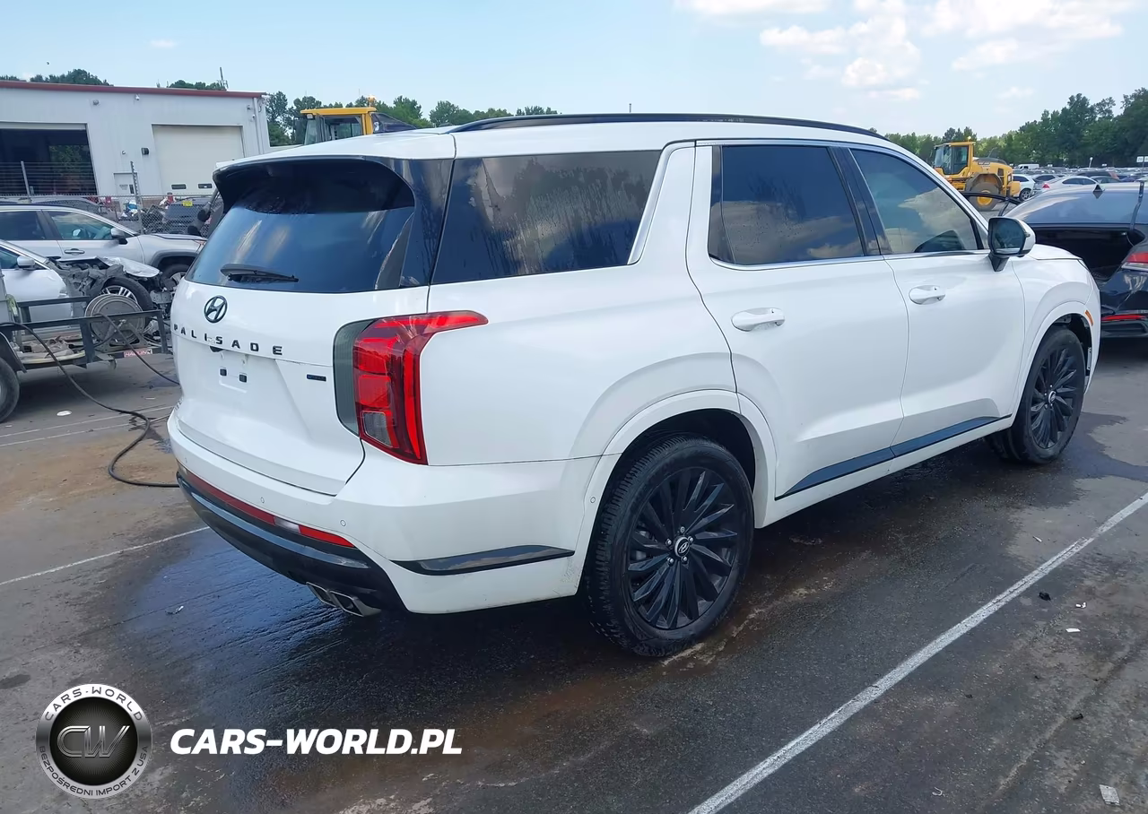 2024 Hyundai Palisade Calligraphy Night Edition VIN:KM8R7DGE4RU773860 - 4